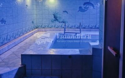 Сауна Дельфин в Томске