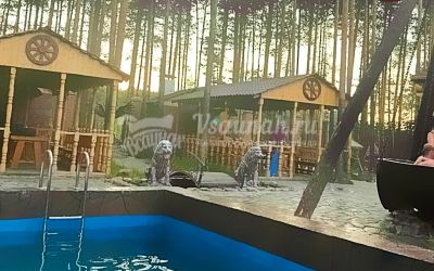 Королевские бани в Сургуте