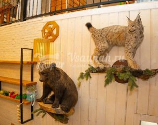 Сауна Сауна Шотландка в Белом Яре