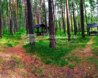 Сауна Место для пикника с сауной Миссис Фишер в Екатеринбурге