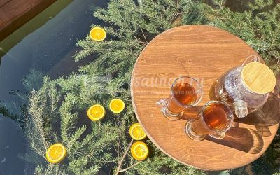 Алтай Баня в Горно-Алтайске