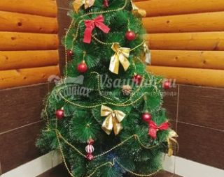 Сауна Сауна Адель в Астрахани