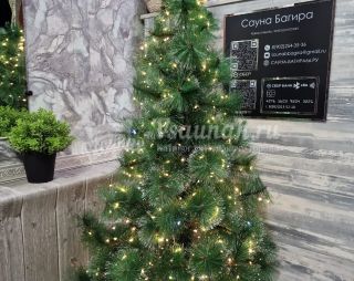 Сауна Сауна Багира в Екатеринбурге