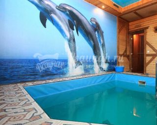 Баня Дельфин в Воронеже