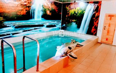 Сауна Авангард в Петрозаводске