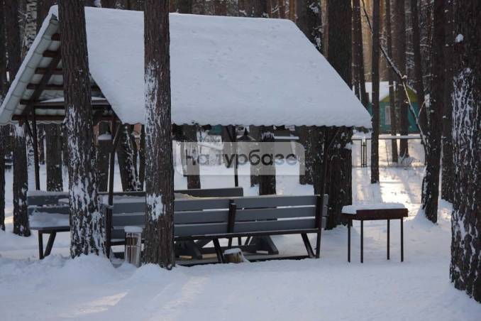 Турбаза ежи воронеж фото