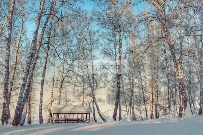 База отдыха рассвет белово фото