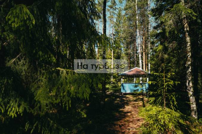 📌 База отдыха «Пасторское озеро» в Всеволожском районе Ленинградской  области – цены, фото и отзывы на портале турбаз