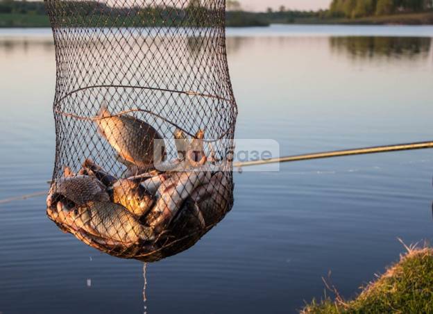 Отдых на озере в Орловской области - информация о месте для рыбалки