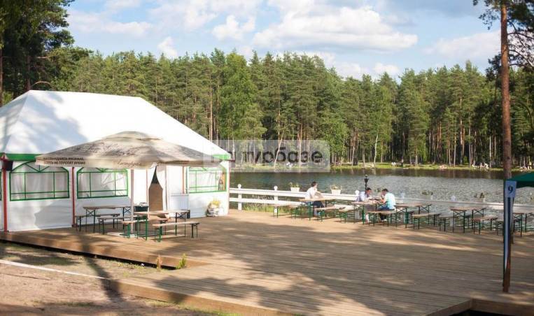 Информация об озере Ильинское в Выборгском районе: рыбалка, отдых, природа