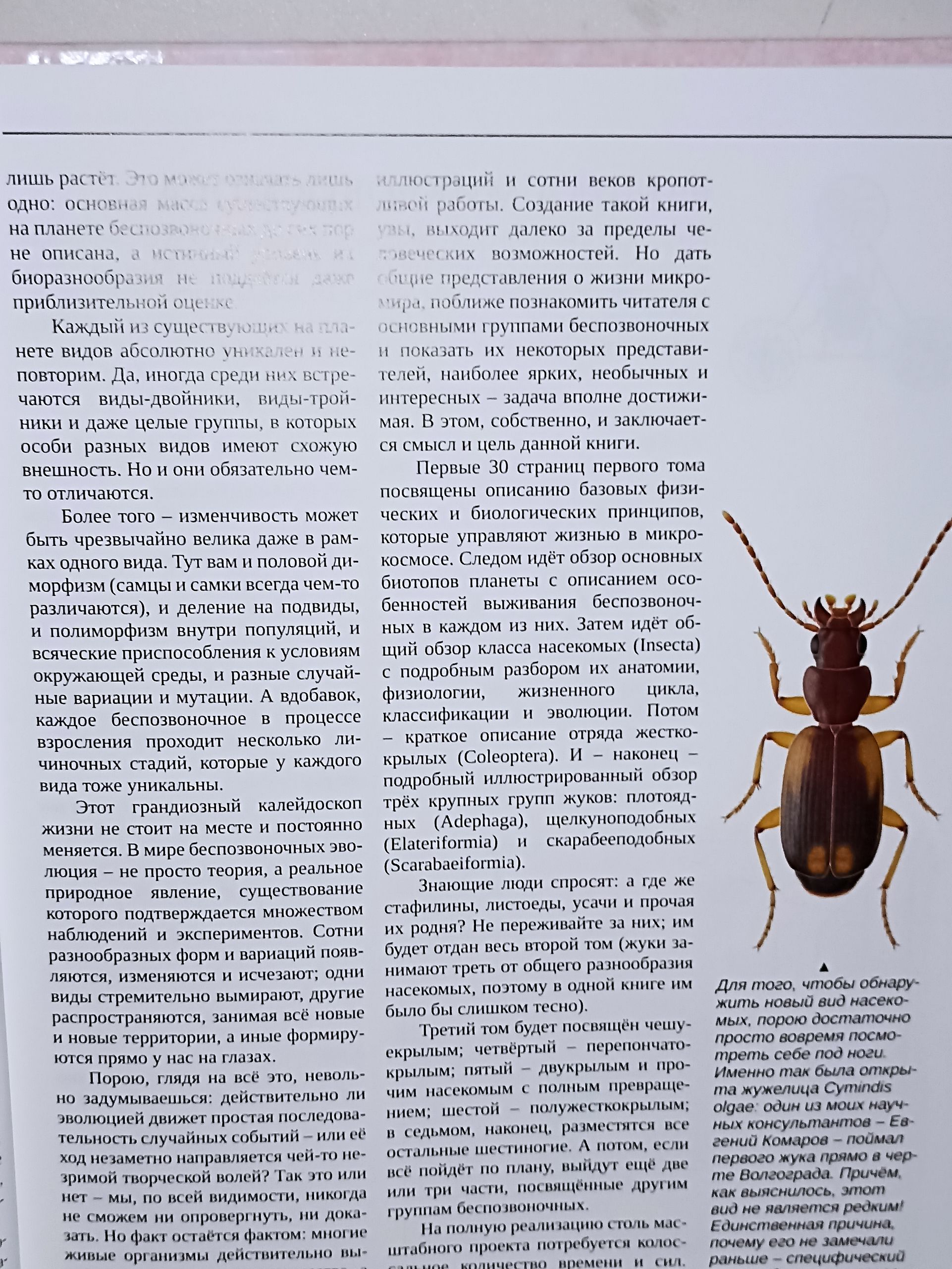 И. М. Пристрем. Обитатели тайного измерения Большой путеводитель по миру насекомых. Том I Вводная информация. Общий обзор насекомых Жесткокрылые Coleoptera часть первая — изображение 6