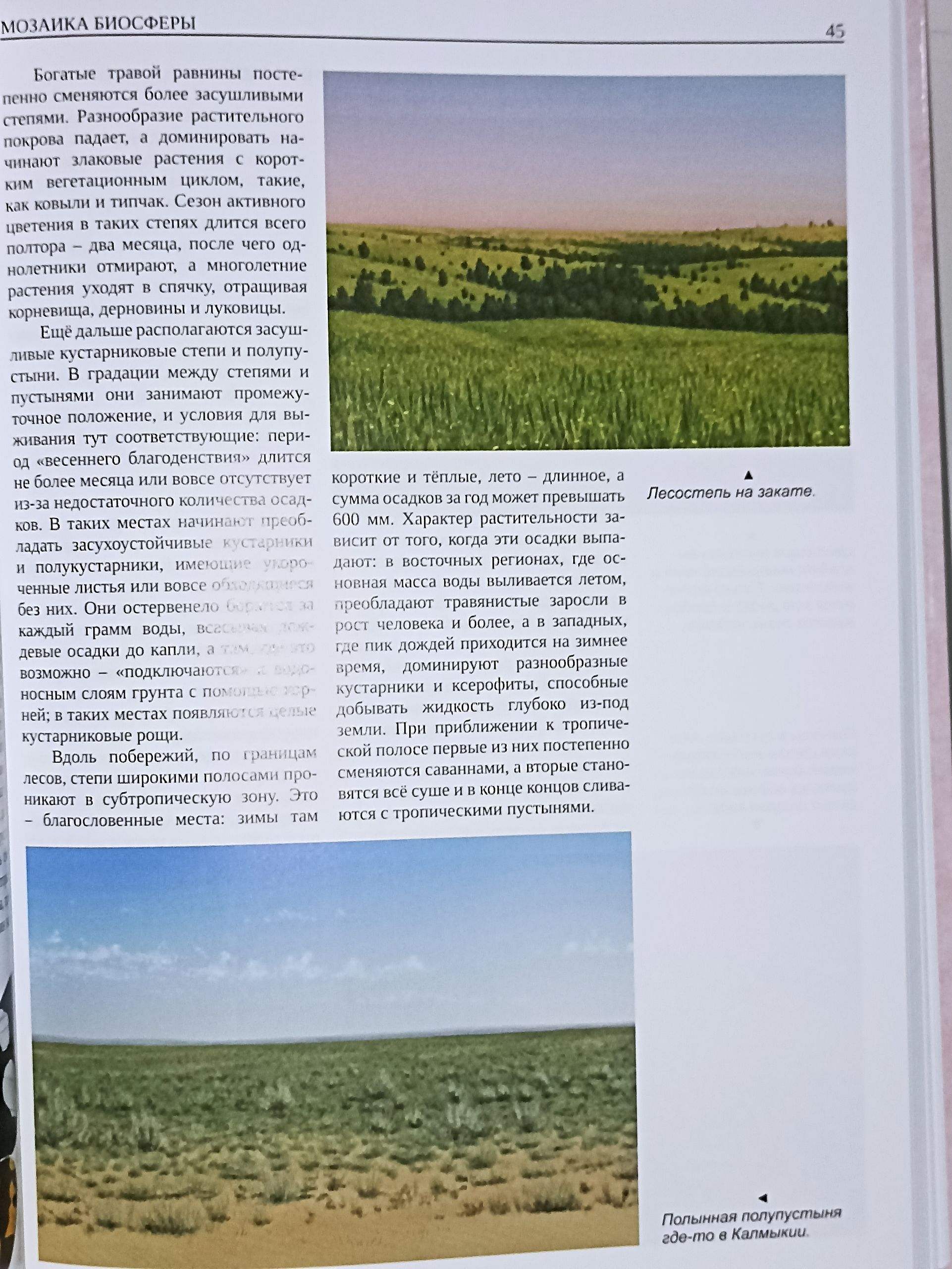 И. М. Пристрем. Обитатели тайного измерения Большой путеводитель по миру насекомых. Том I Вводная информация. Общий обзор насекомых Жесткокрылые Coleoptera часть первая — изображение 16