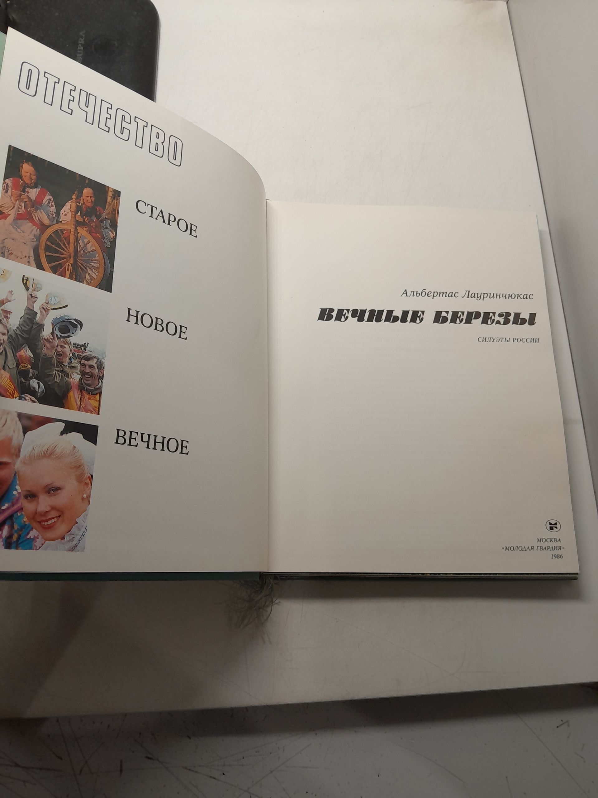 Вечные берёзы. Силуэты России / Лауринчюкас А. — изображение 3