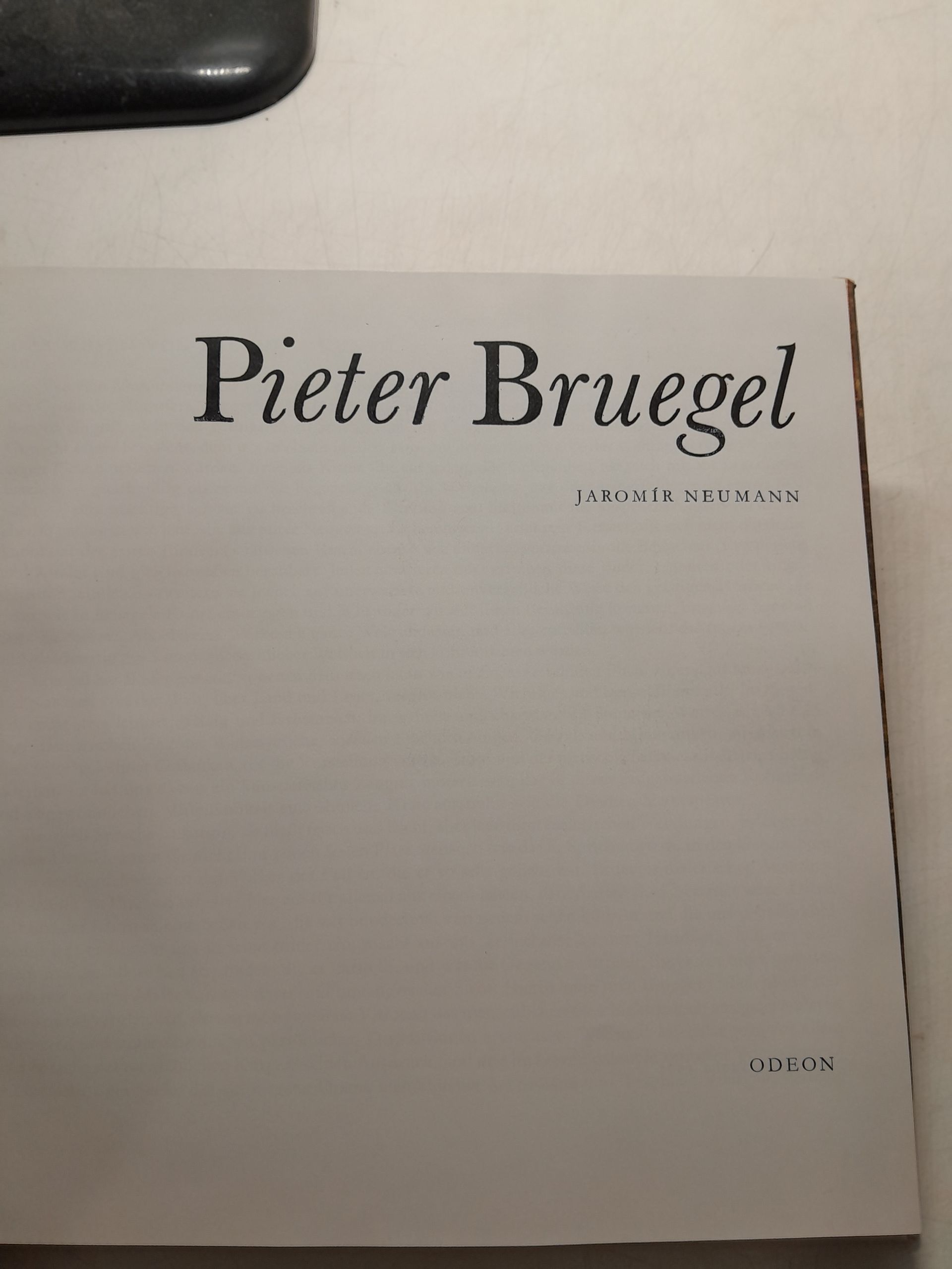 Питер Брейгель. Яромир Нойманн / Pieter Bruegel. JAROM R NEUMANN — изображение 3