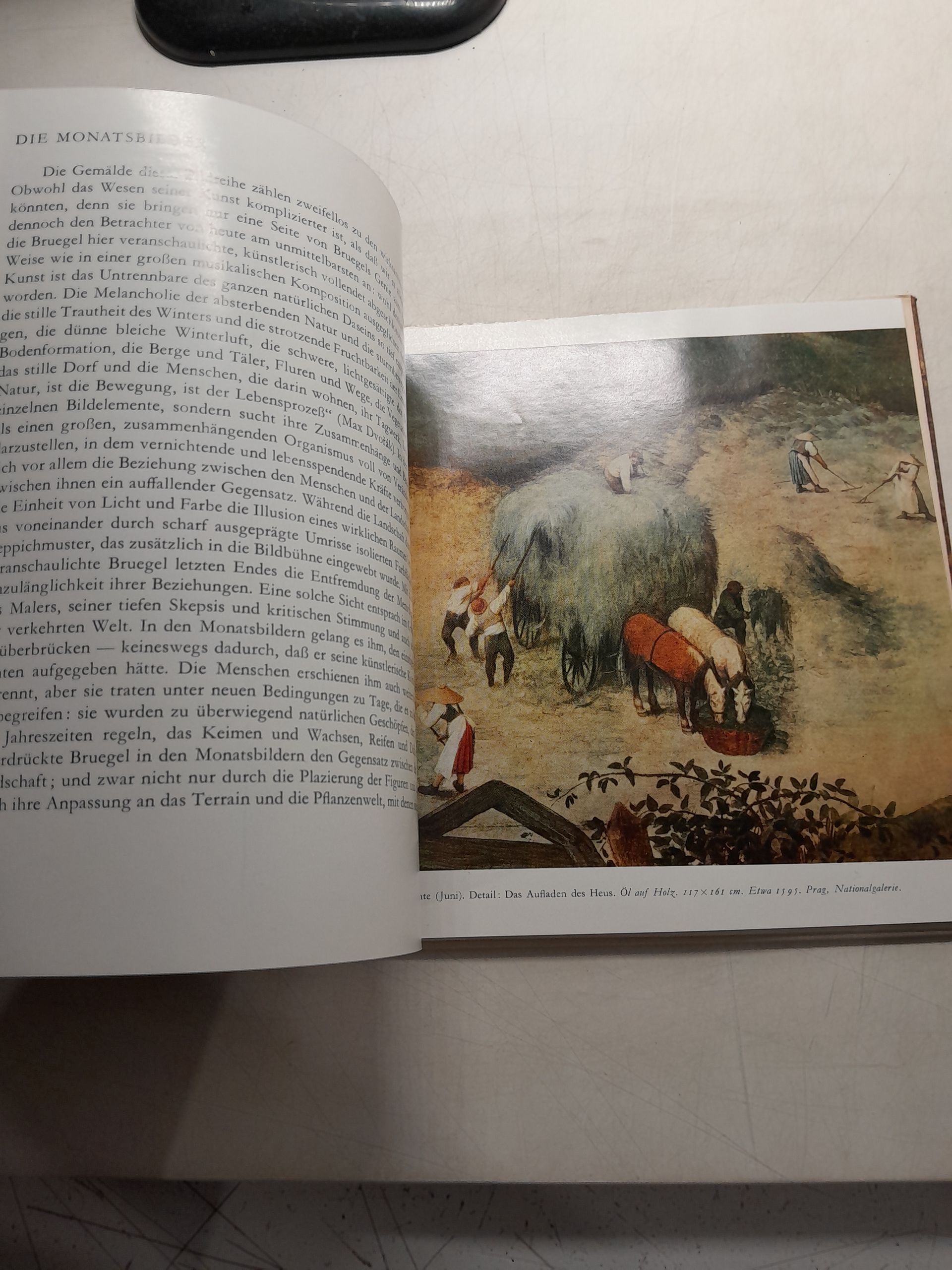 Питер Брейгель. Яромир Нойманн / Pieter Bruegel. JAROM R NEUMANN — изображение 5