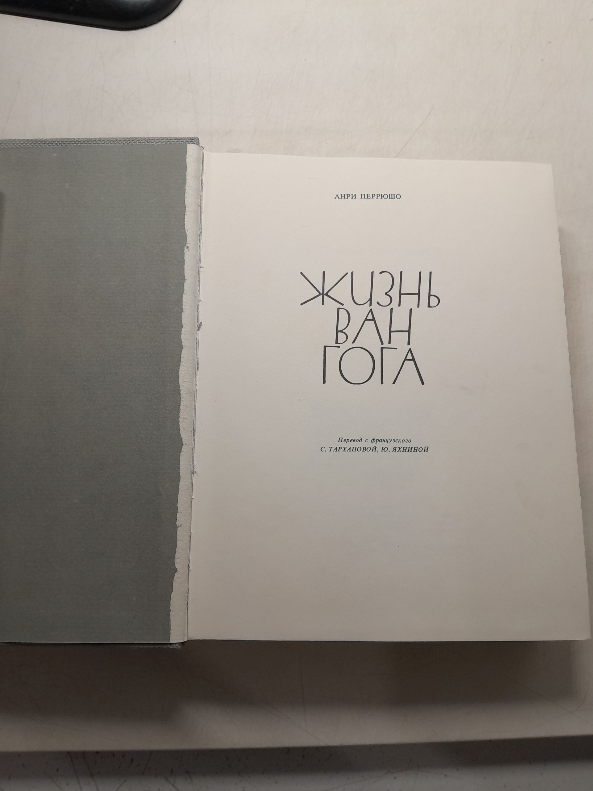 Жизнь Ван Гога / Анри Перрюшо — изображение 3