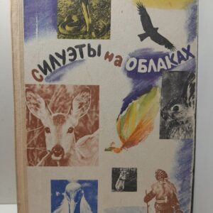 Силуэты на облаках / Н. Сладков