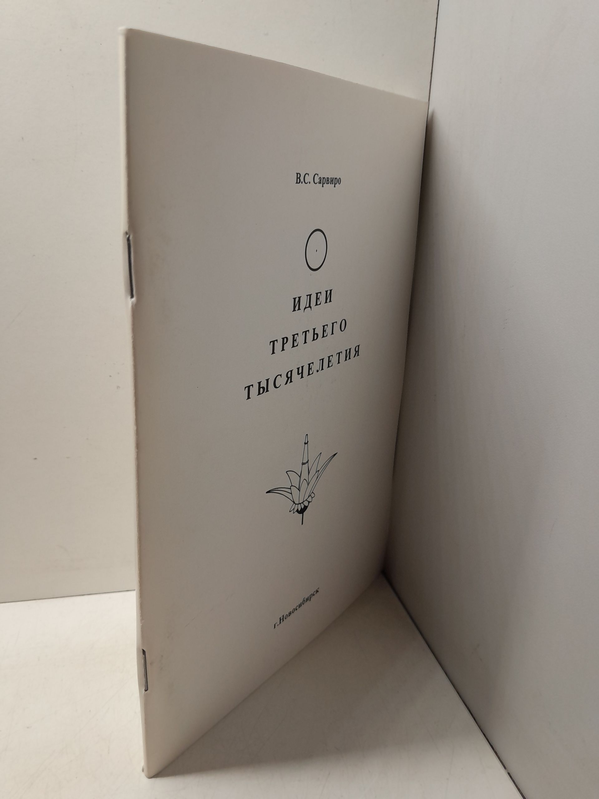 Идеи третьего тысячелетия / В.С. Сарвиро — изображение 2