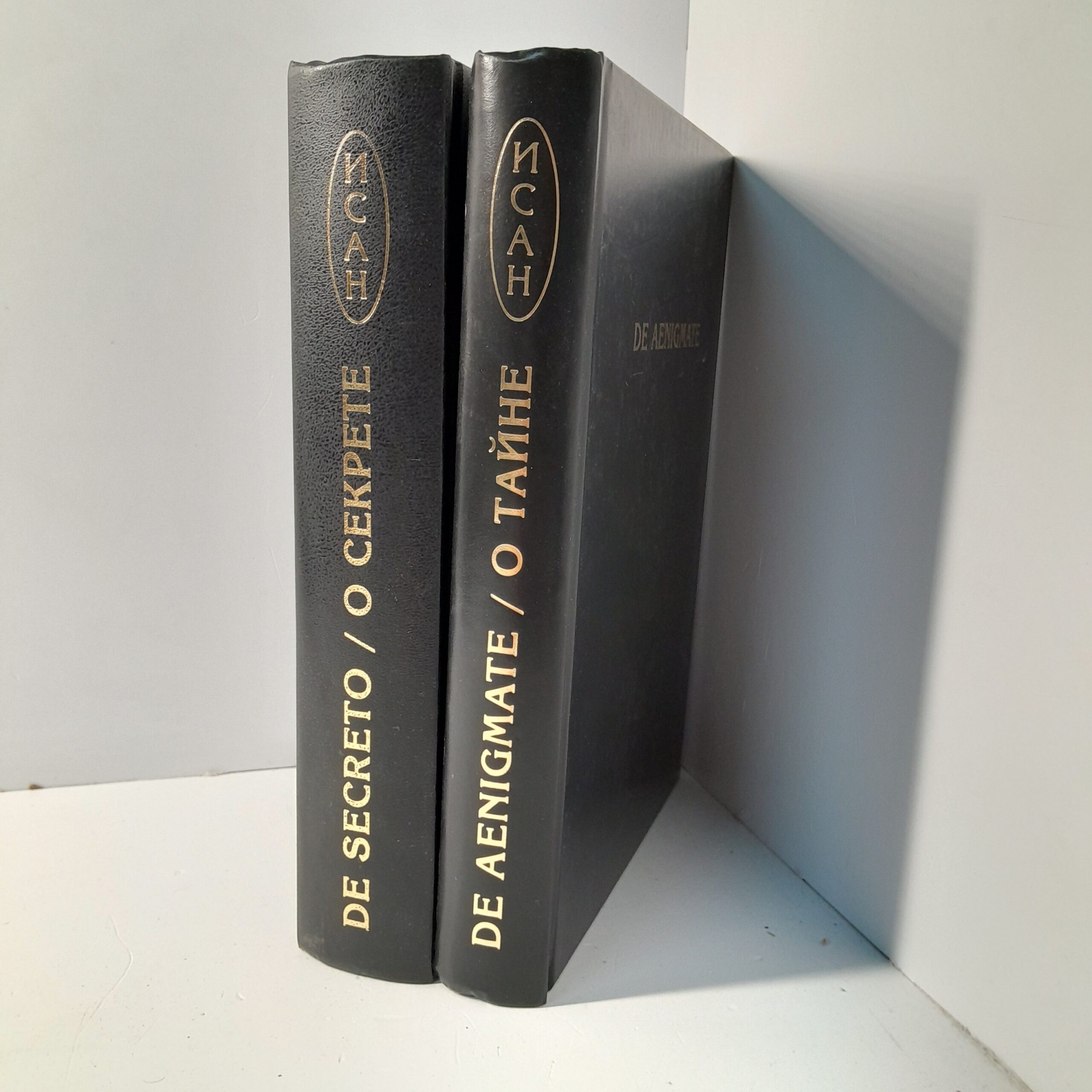 Фурсов А.И. / Сборник научных трудов : О секрете. О Тайне. Четвёртое издание в 2-х книгах — изображение 2