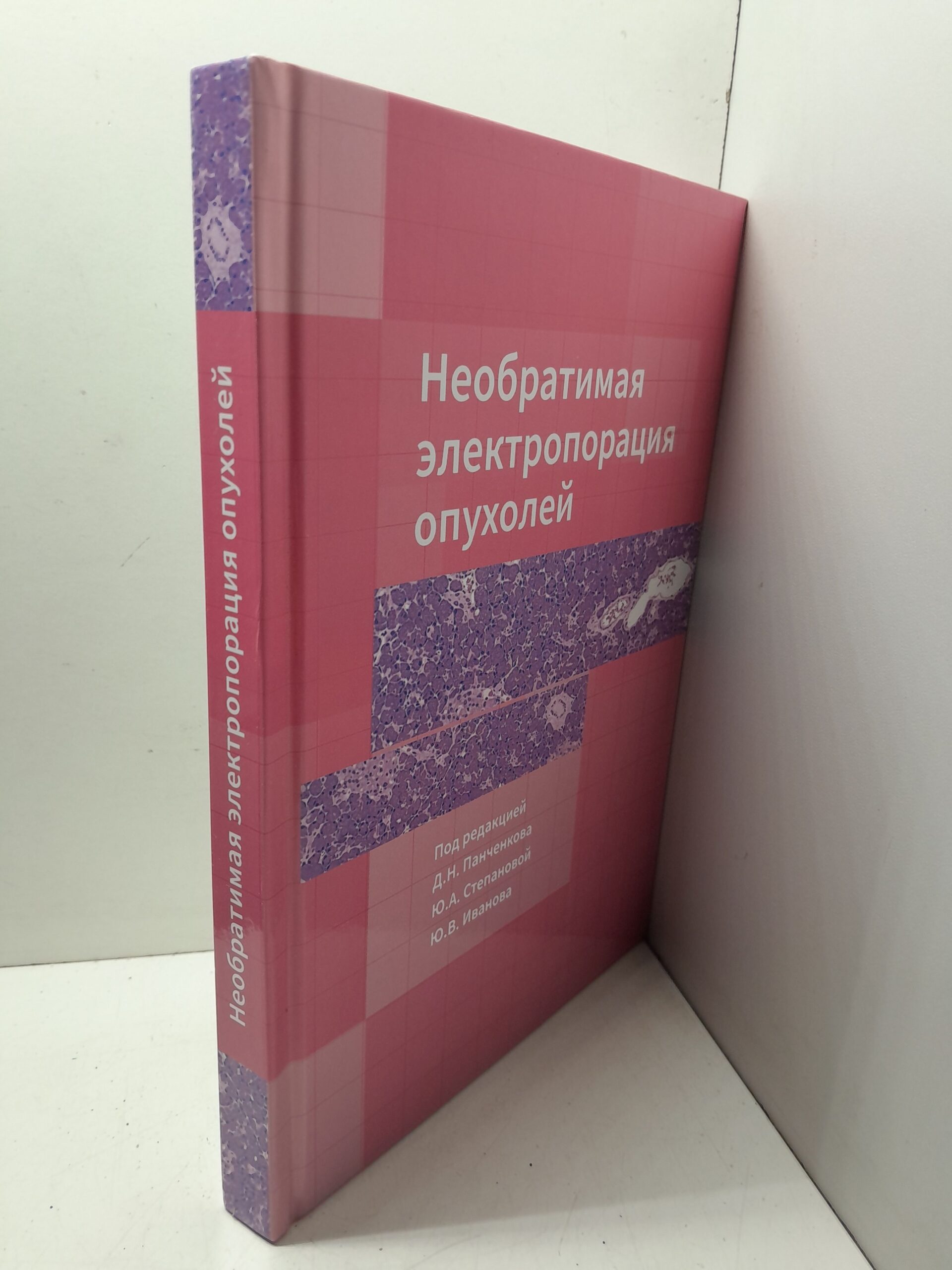 Необратимая электропорация опухолей / Д.Н. Панченков, Ю.А. Степанова, Ю.В. Иванов — изображение 2