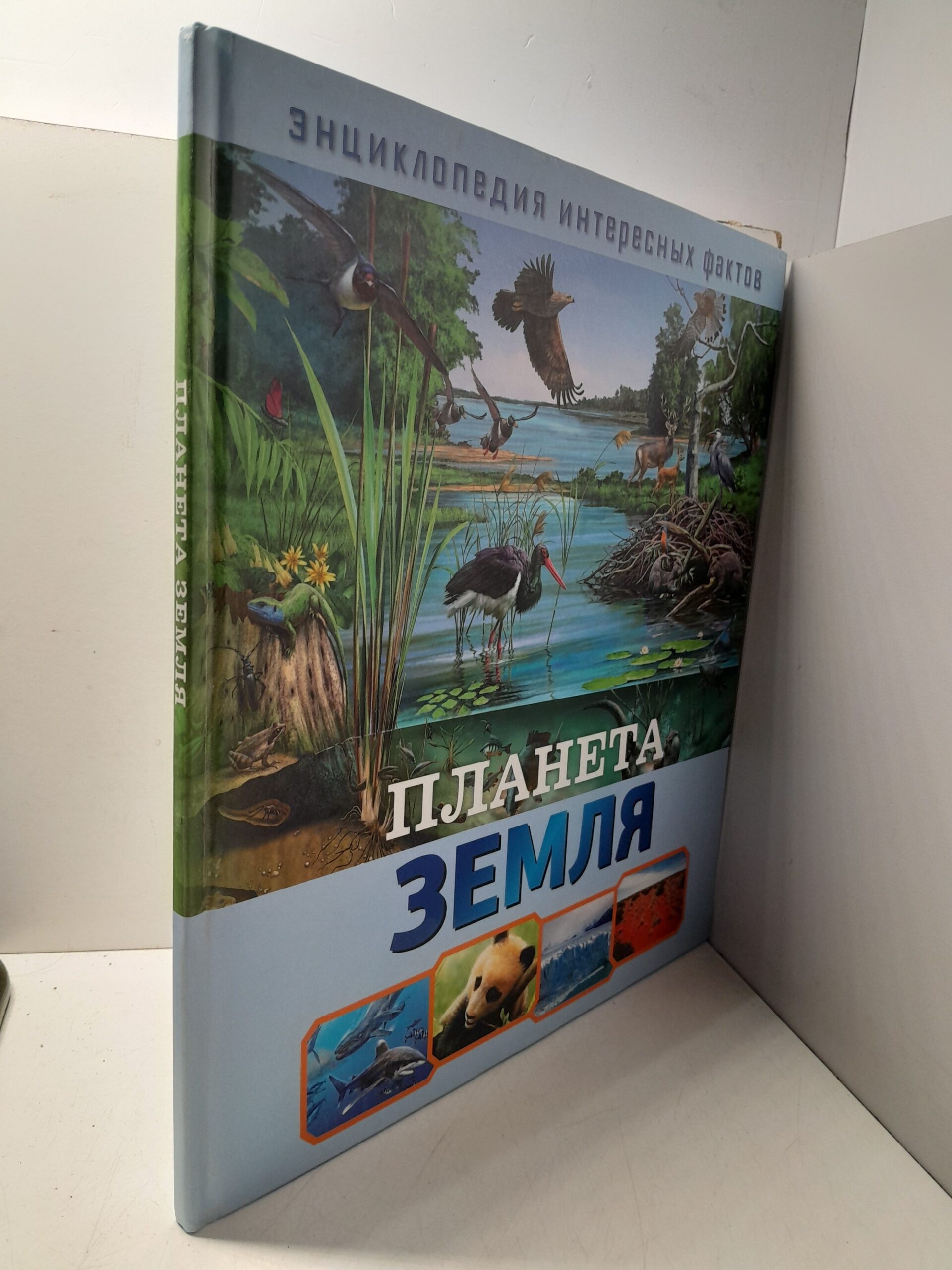 Планета Земля / Ю. Дёнс — изображение 2