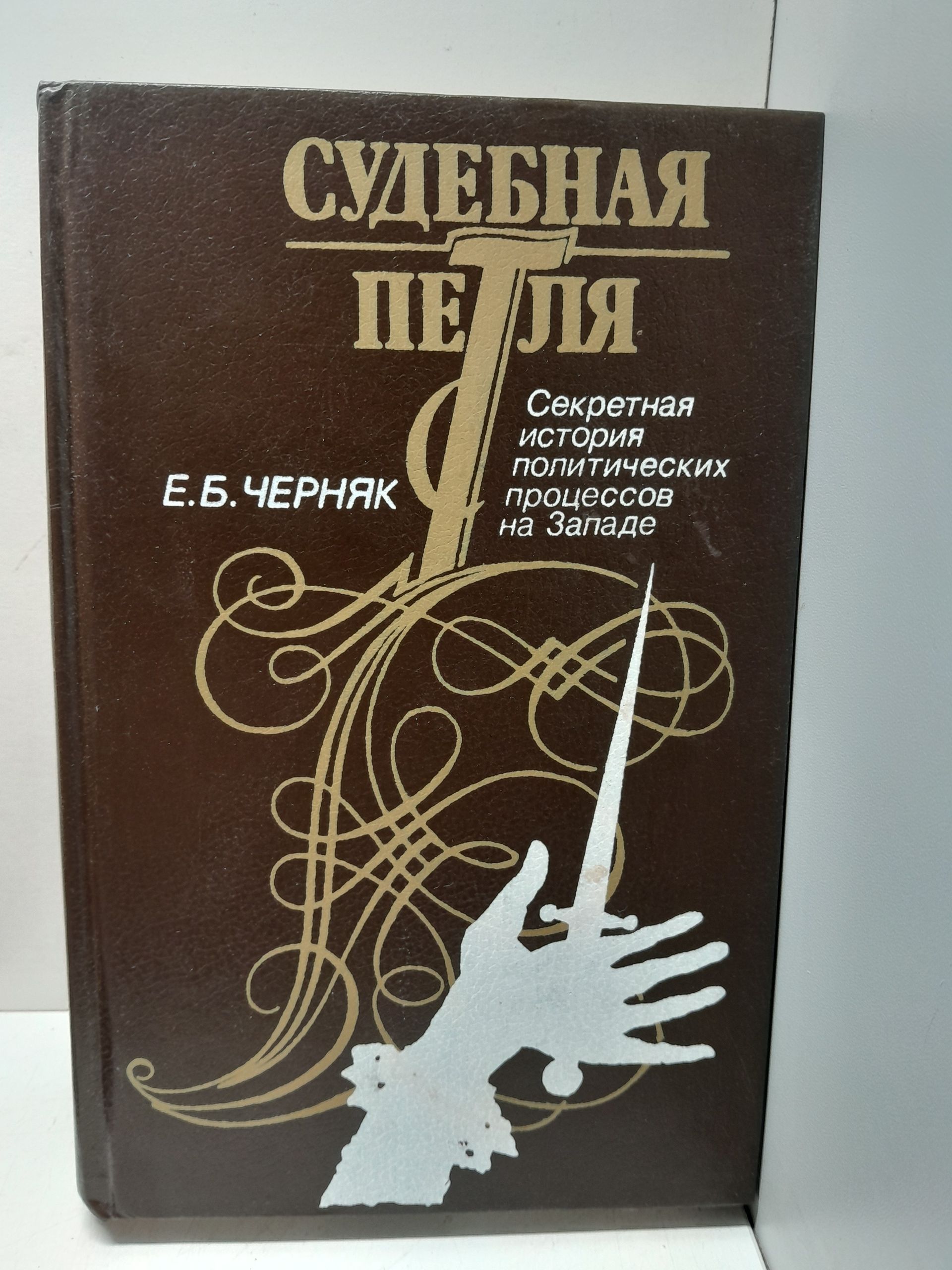 Судебная петля. Секретная история политических процессов на Западе / Черняк Ефим