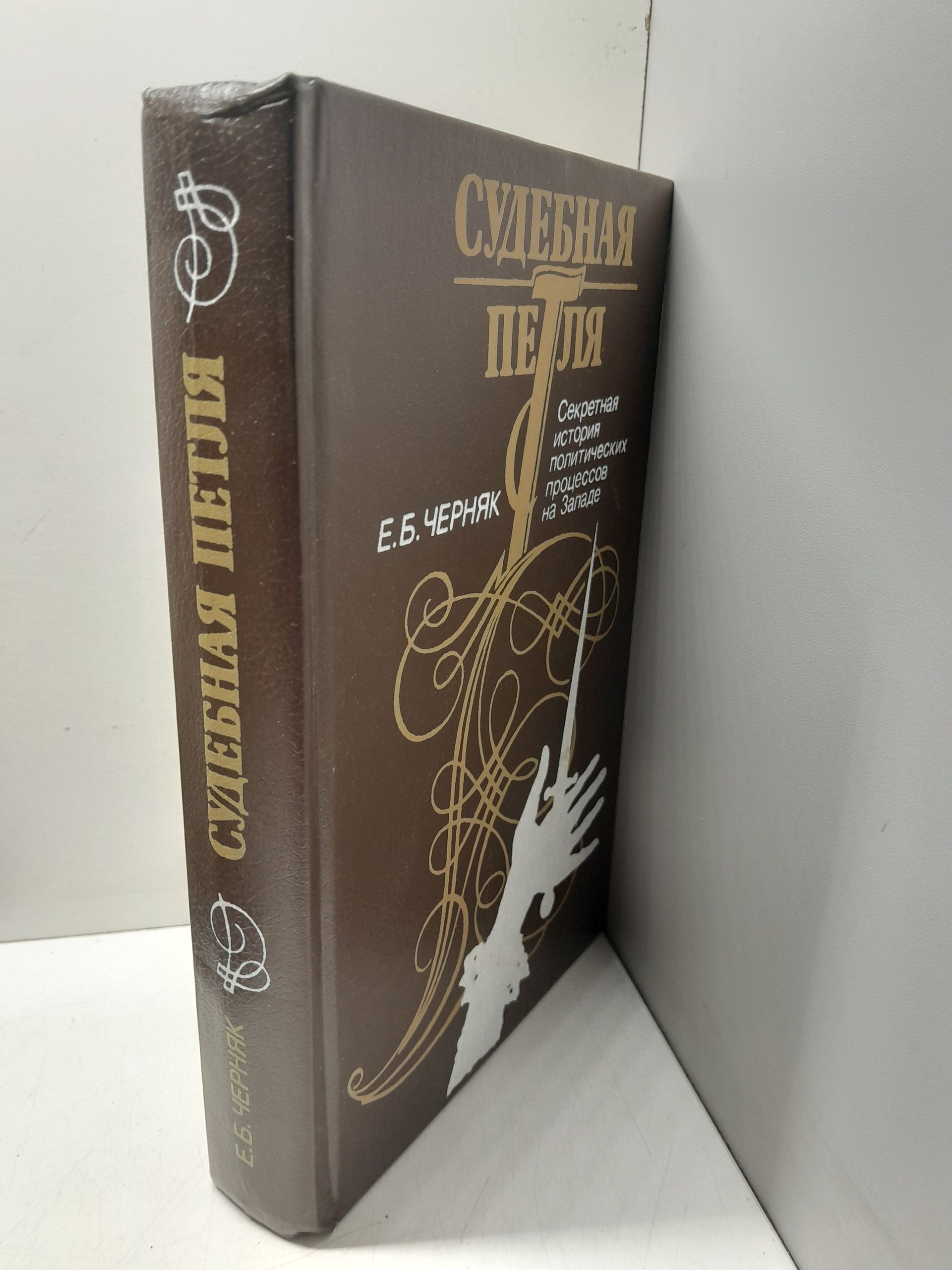 Судебная петля. Секретная история политических процессов на Западе / Черняк Ефим — изображение 2