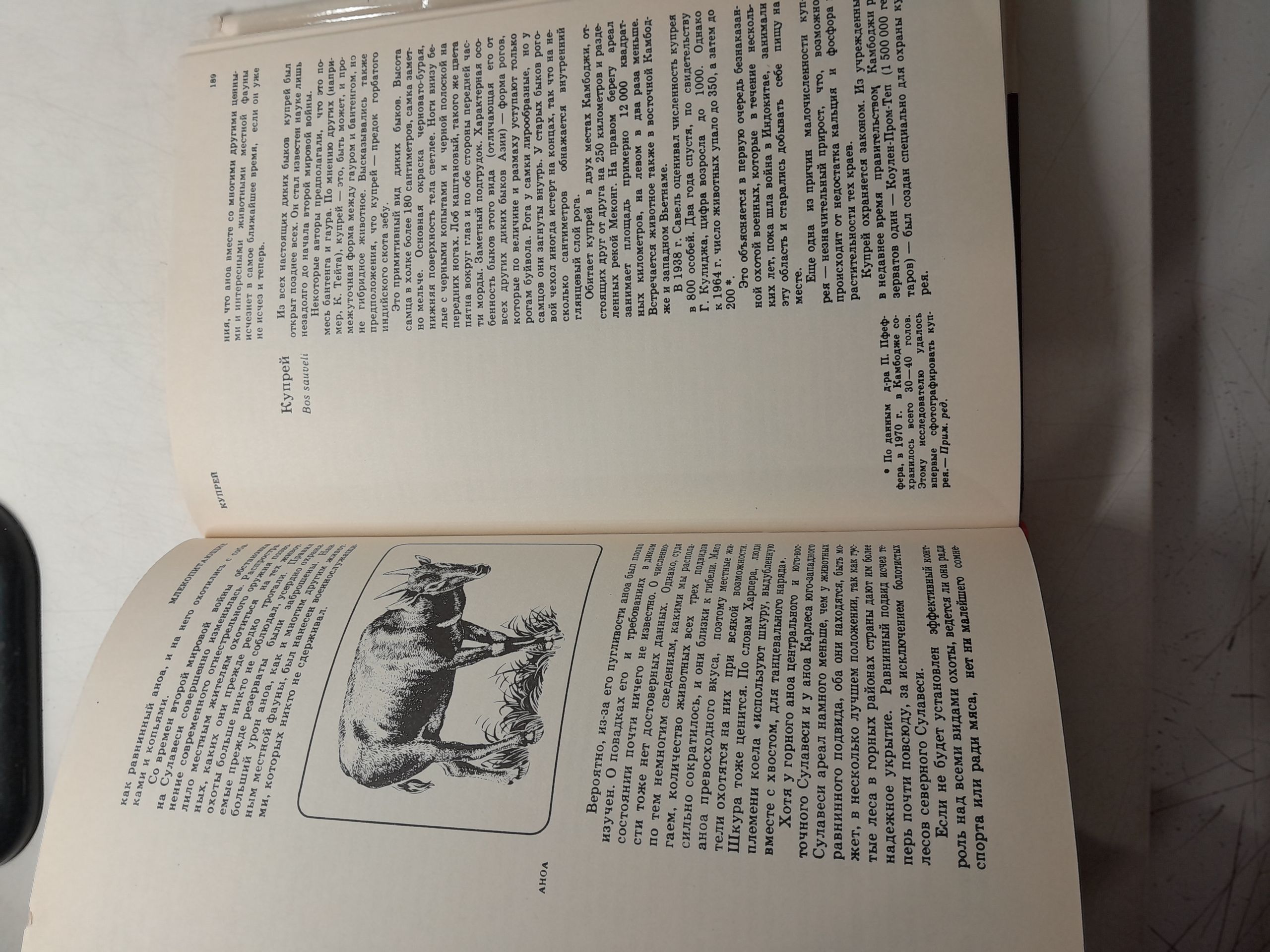 Красная книга. Дикая природа в опасности / Фишер Д., Саймон Н., Винсент Д. — изображение 6