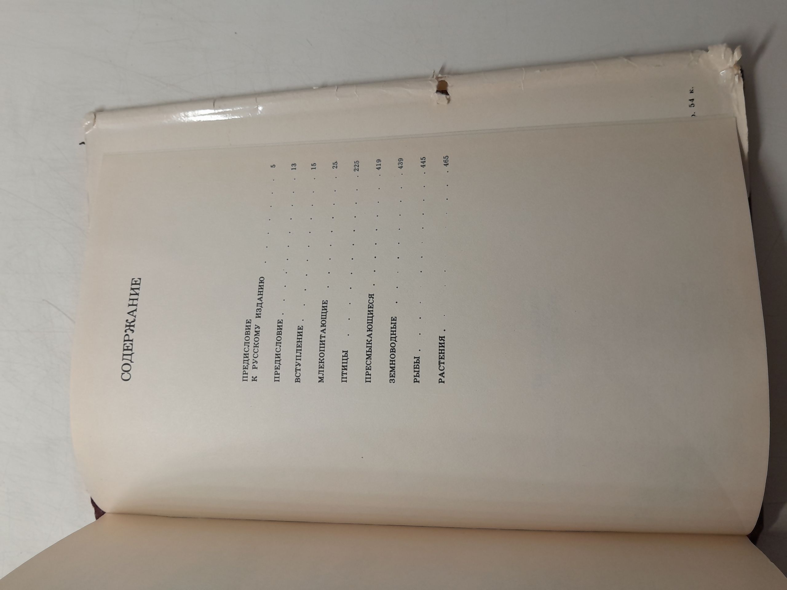 Красная книга. Дикая природа в опасности / Фишер Д., Саймон Н., Винсент Д. — изображение 4