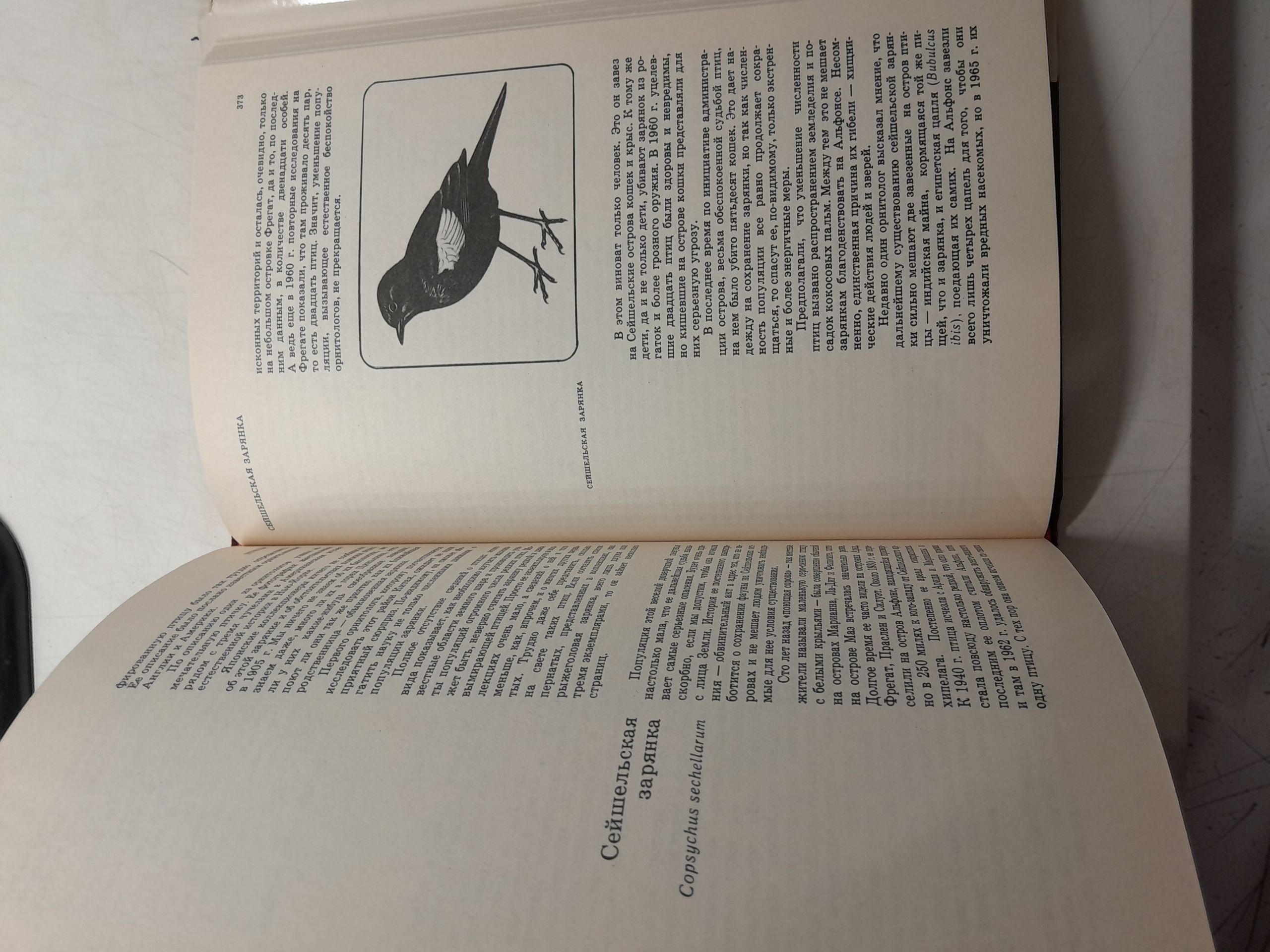 Красная книга. Дикая природа в опасности / Фишер Д., Саймон Н., Винсент Д. — изображение 5