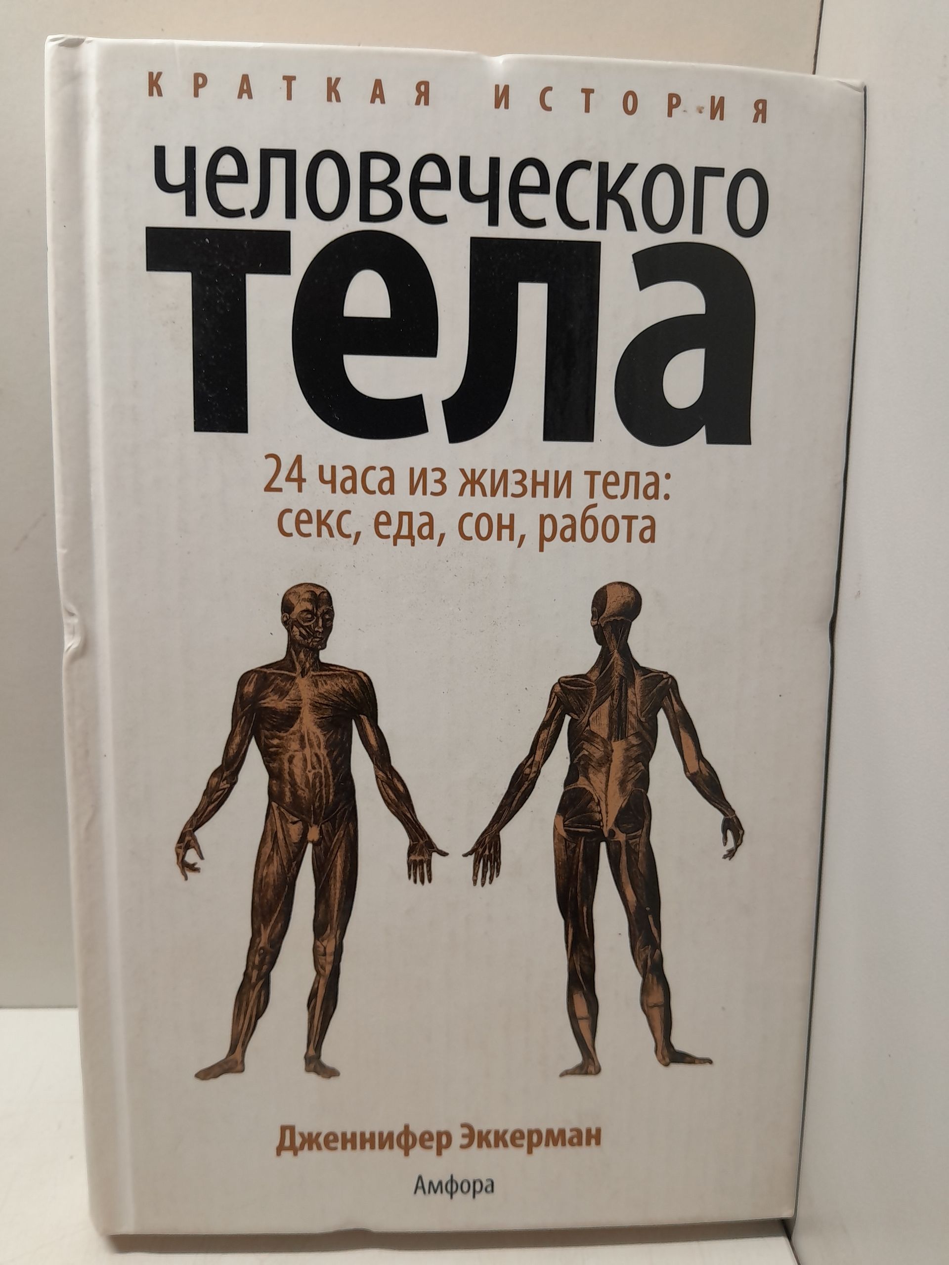Краткая история человеческого тела. 24 часа из жизни тела. Секс, еда, сон, работа / Эккерман Дженнифер