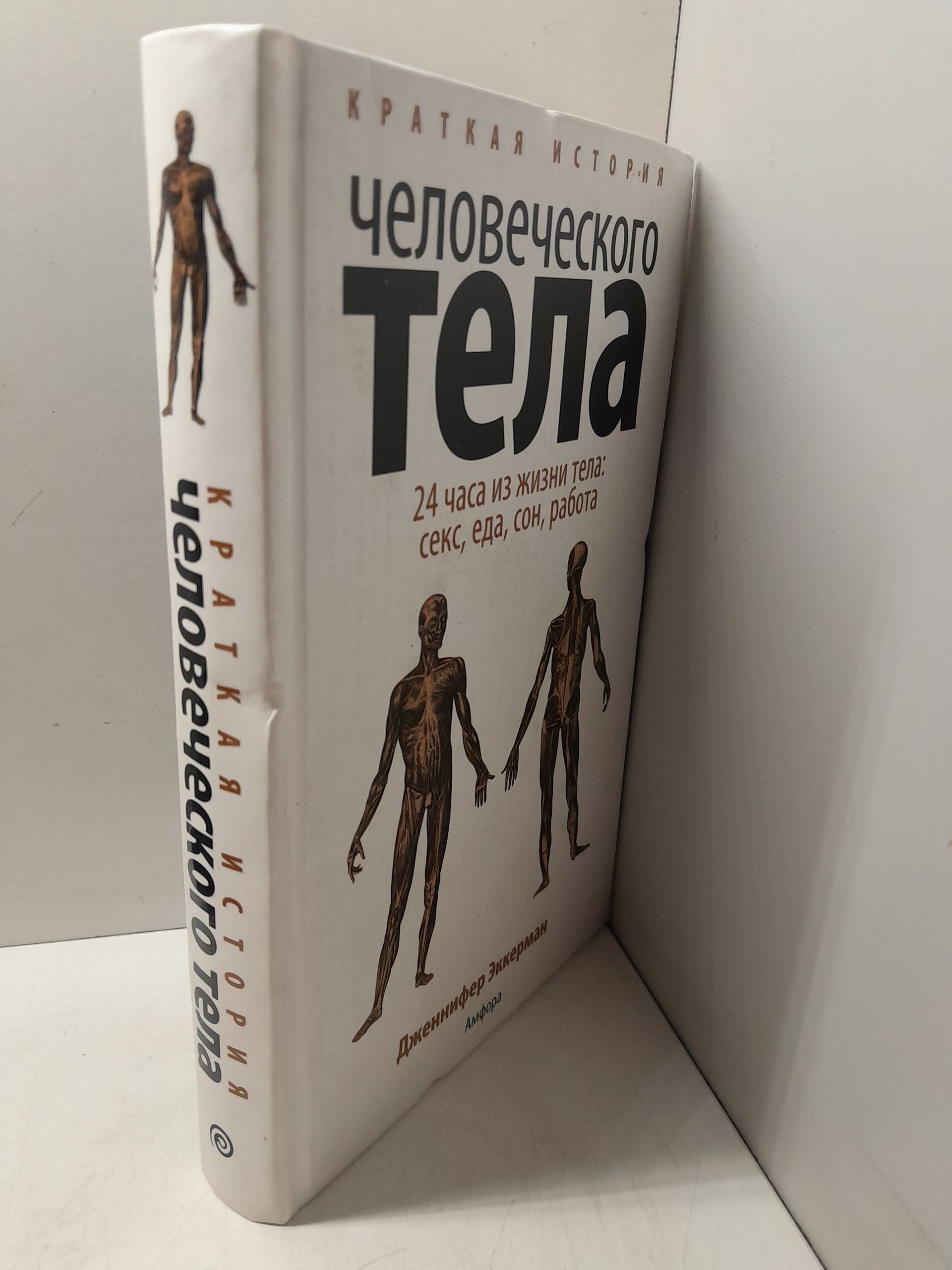 Краткая история человеческого тела. 24 часа из жизни тела. Секс, еда, сон, работа / Эккерман Дженнифер — изображение 2