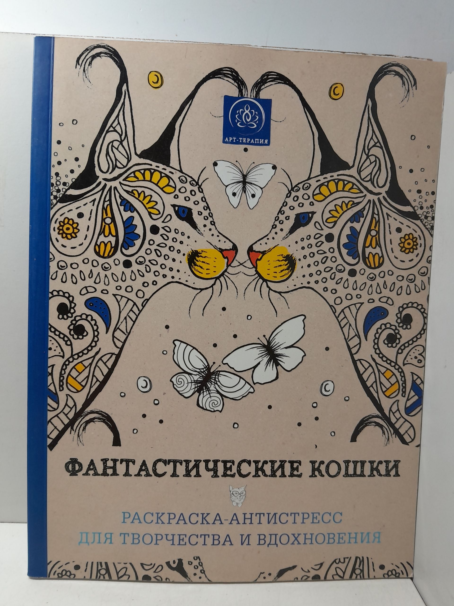 Фантастические кошки. Раскраска-антистресс для творчества и вдохновения