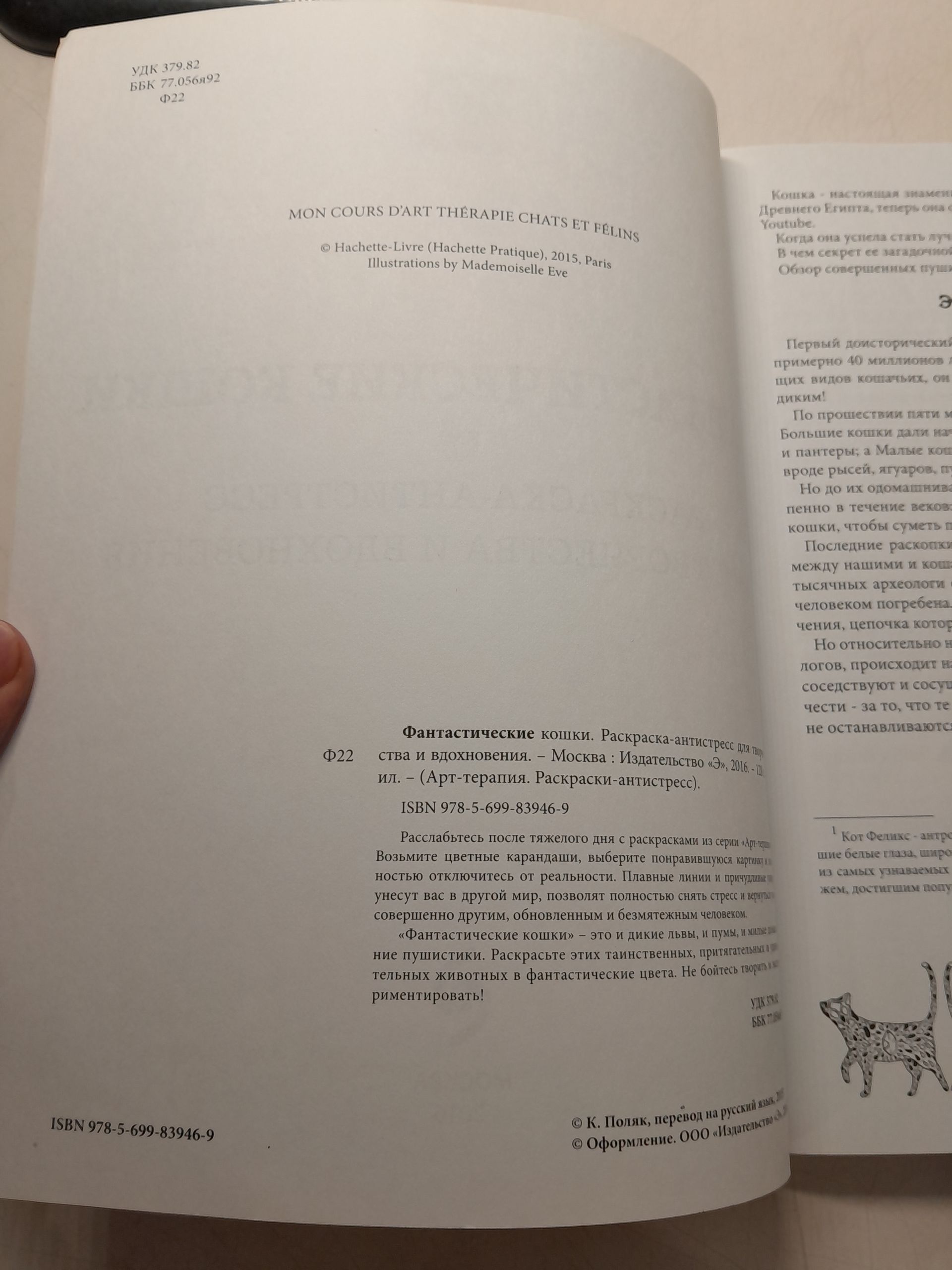 Фантастические кошки. Раскраска-антистресс для творчества и вдохновения — изображение 3