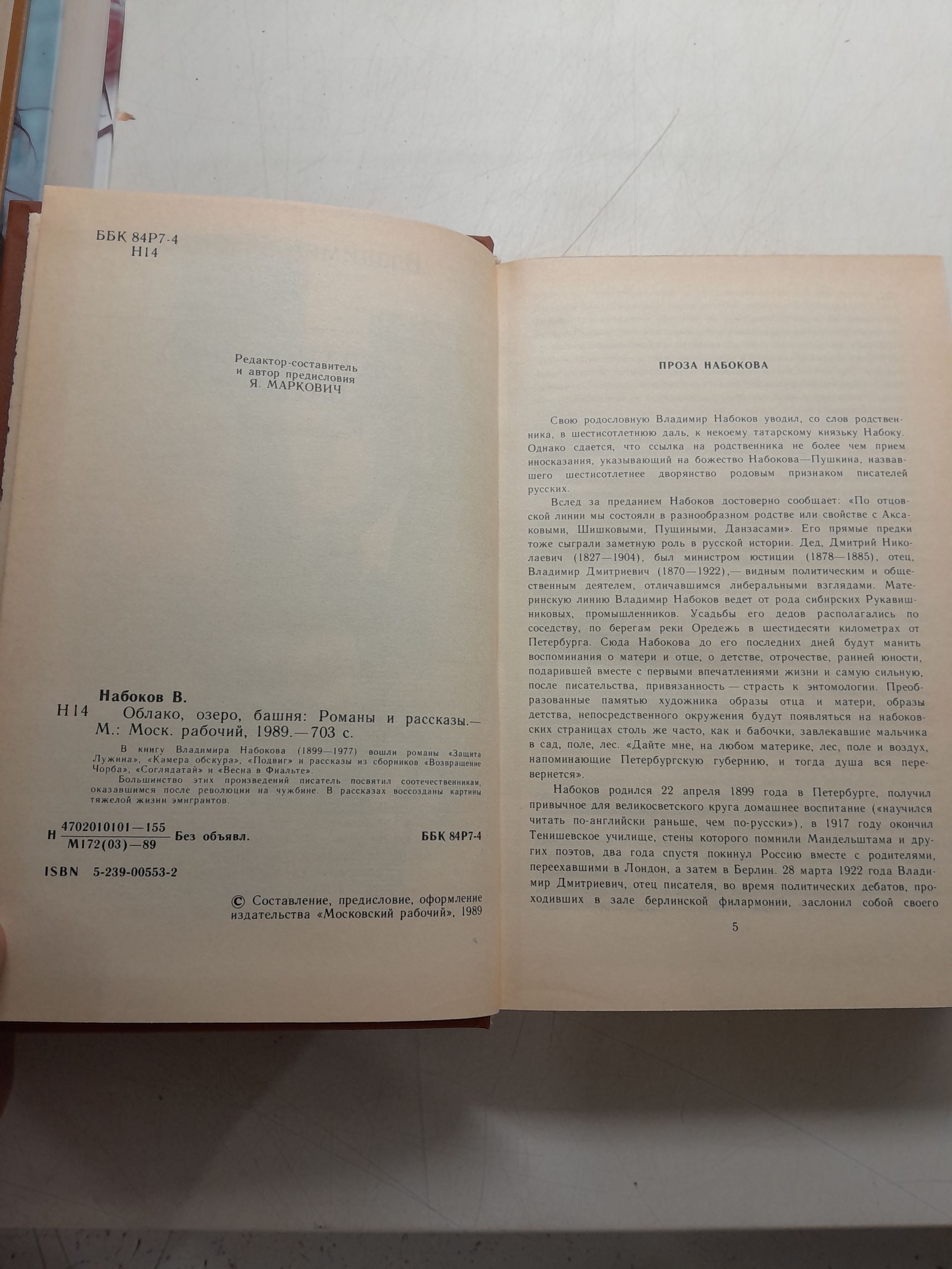 Облако, озеро, башня / Набоков Владимир — изображение 3