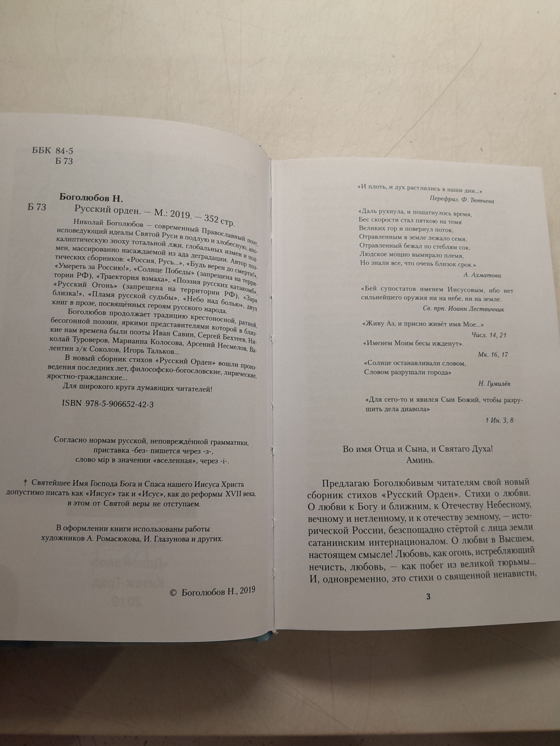 Боголюбов Николай / Русский орден — изображение 3