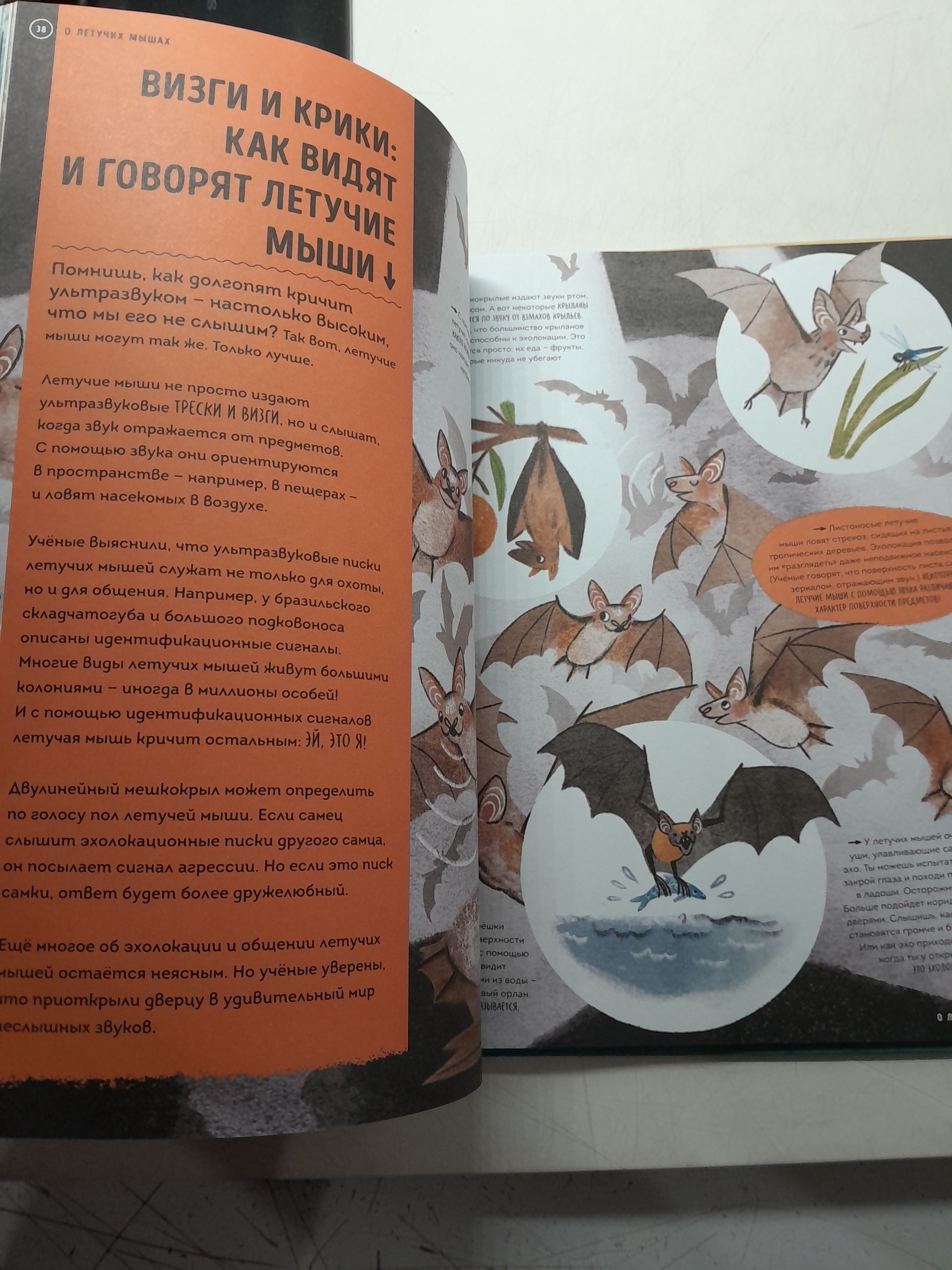 "О чем рычит тигр? Как общаются животные в дикой природе" / Биттел Джейсон — изображение 5