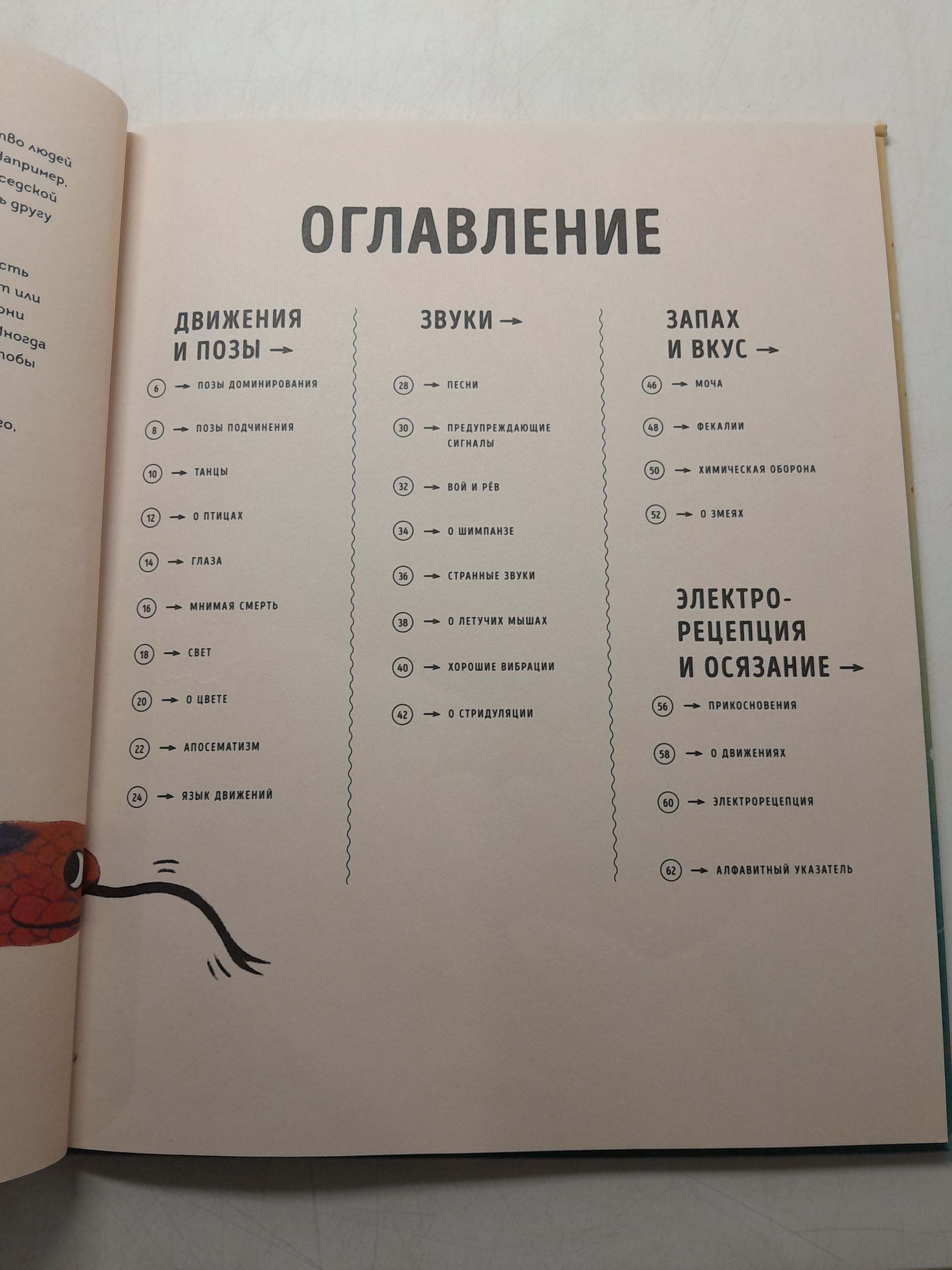 "О чем рычит тигр? Как общаются животные в дикой природе" / Биттел Джейсон — изображение 4