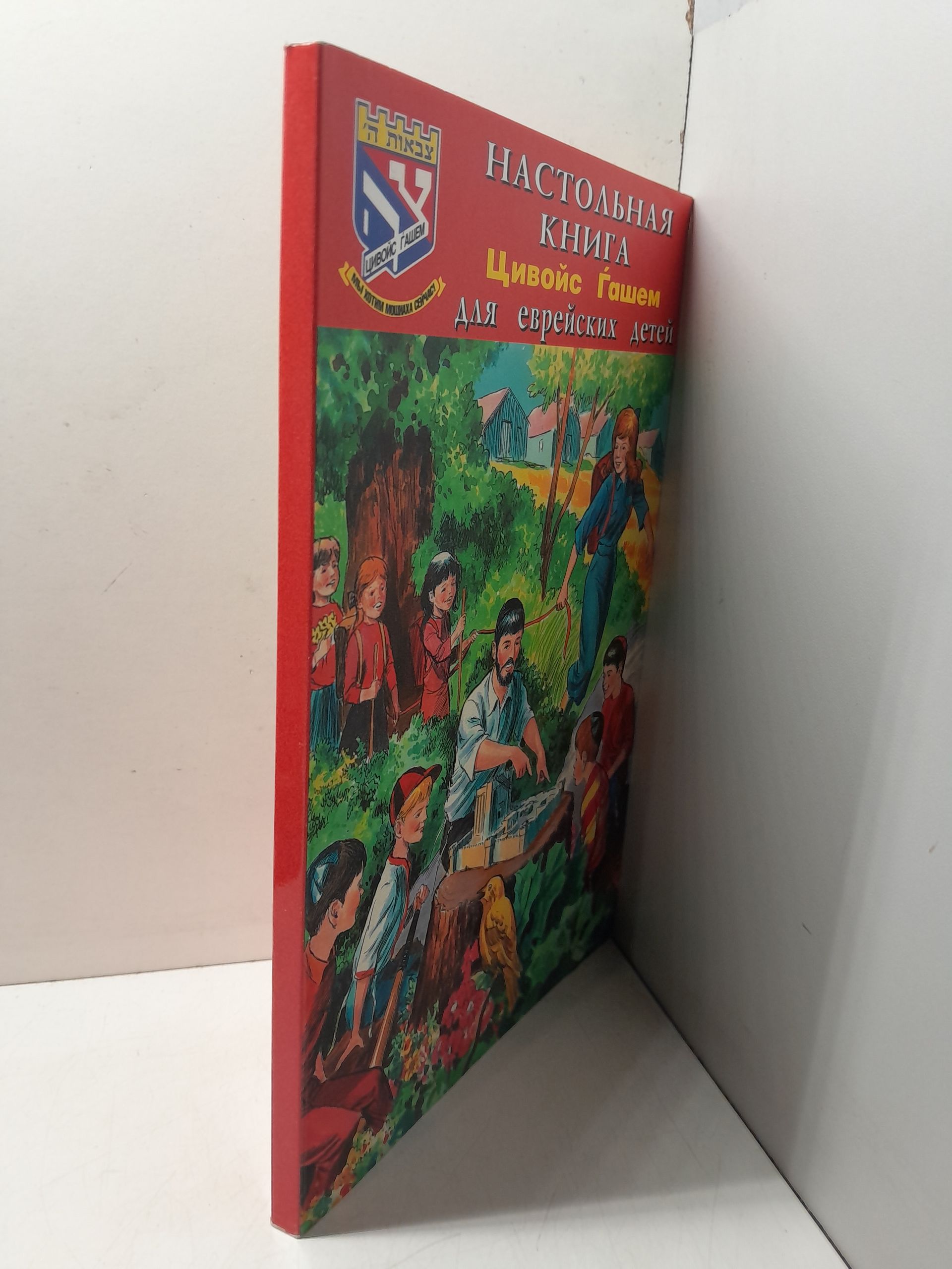 Настольная книга для еврейских детей Цивойс Гашем — изображение 2