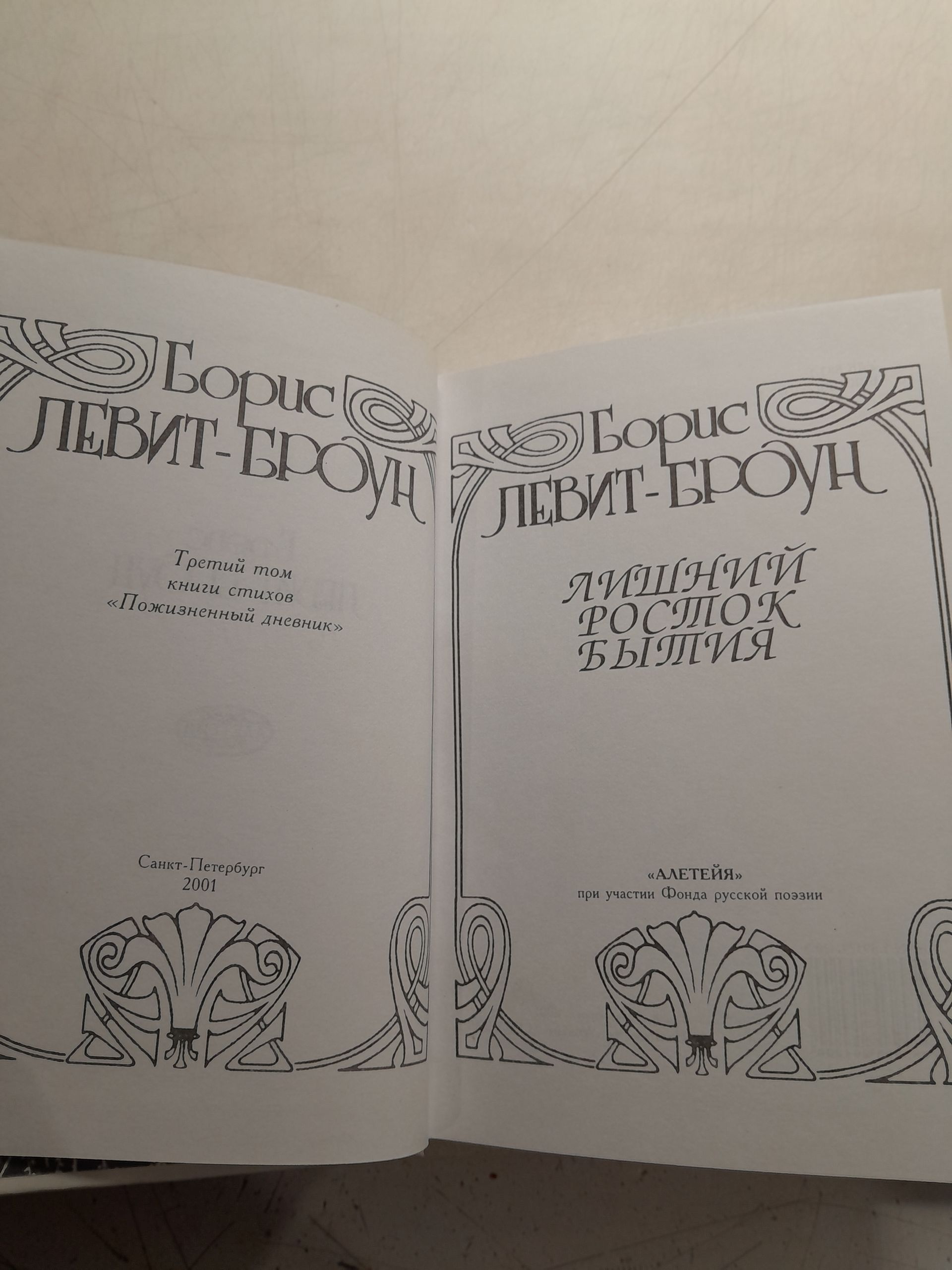 Лишний росток бытия / Борис Левит-Броун — изображение 3