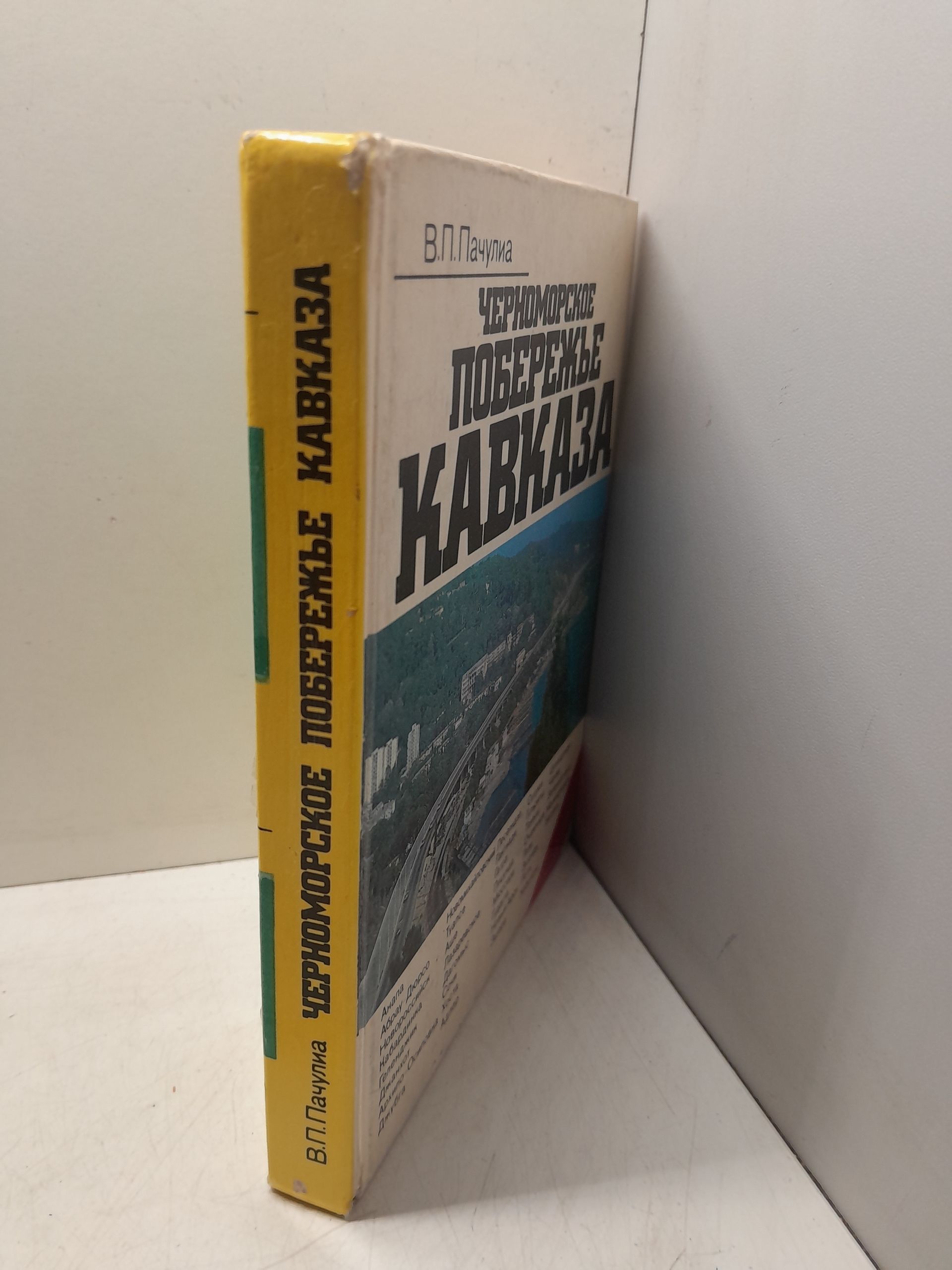 Черноморское побережье Кавказа / В.П. Пачулиа — изображение 2