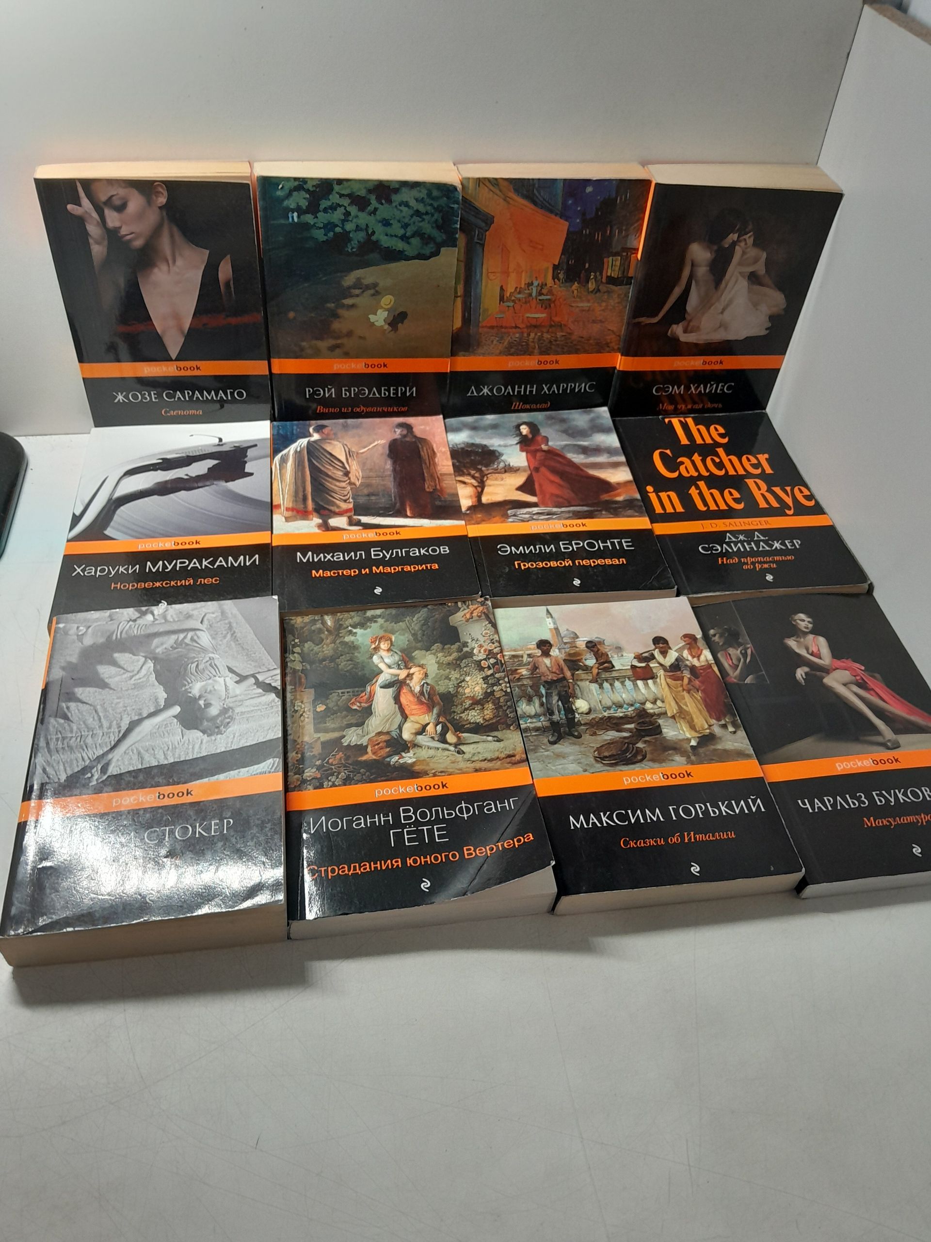 Серия " Poket book " в 12 книгах / Ж. Сарамаго, Х. Мураками, И.В. Гёте, Э. Бронте, Р. Брэдбери и другие