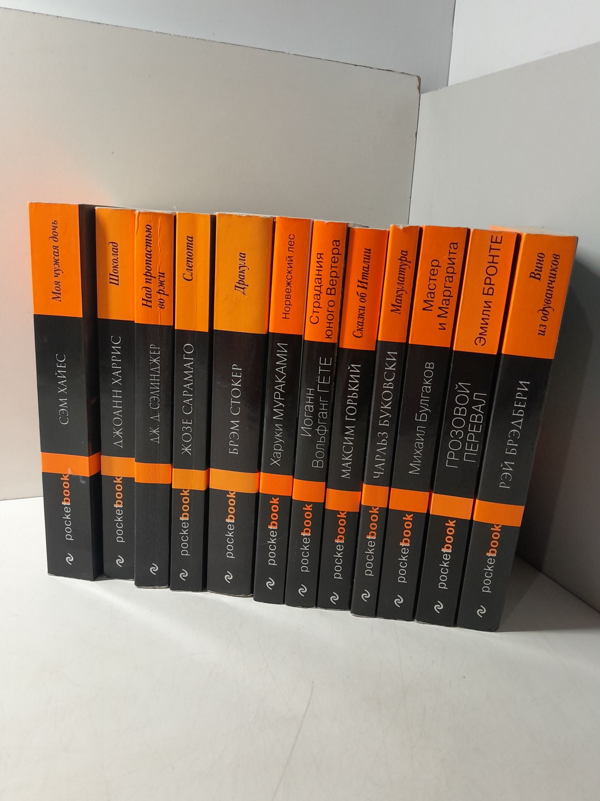 Серия " Poket book " в 12 книгах / Ж. Сарамаго, Х. Мураками, И.В. Гёте, Э. Бронте, Р. Брэдбери и другие — изображение 2
