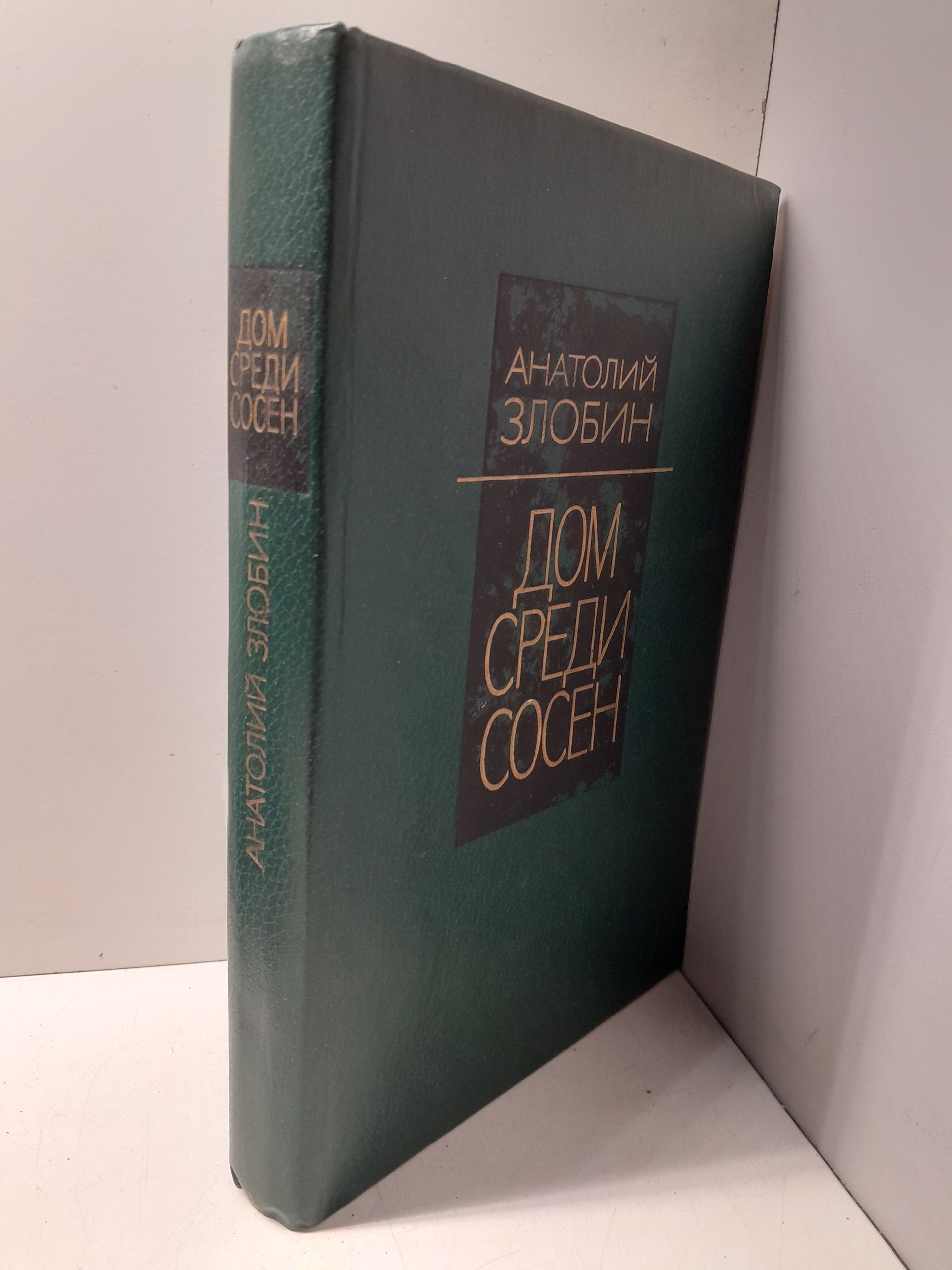 Дом среди сосен / Анатолий Злобин — изображение 2