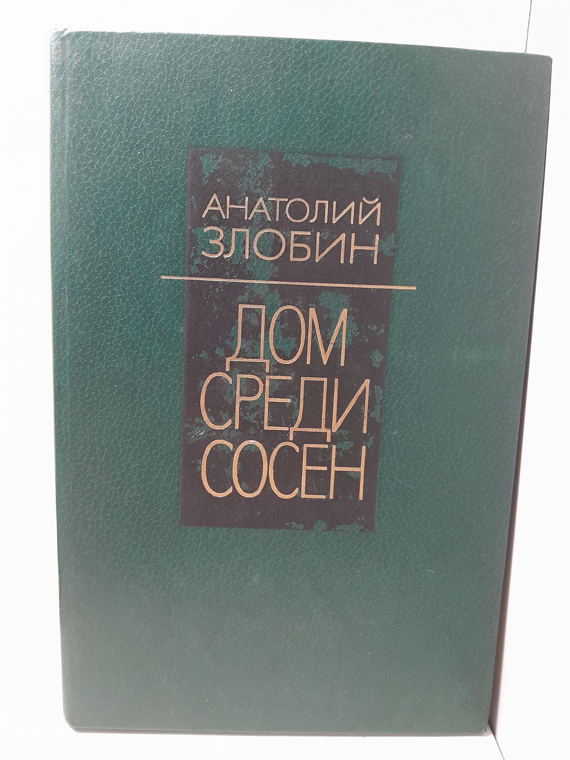 Дом среди сосен / Анатолий Злобин