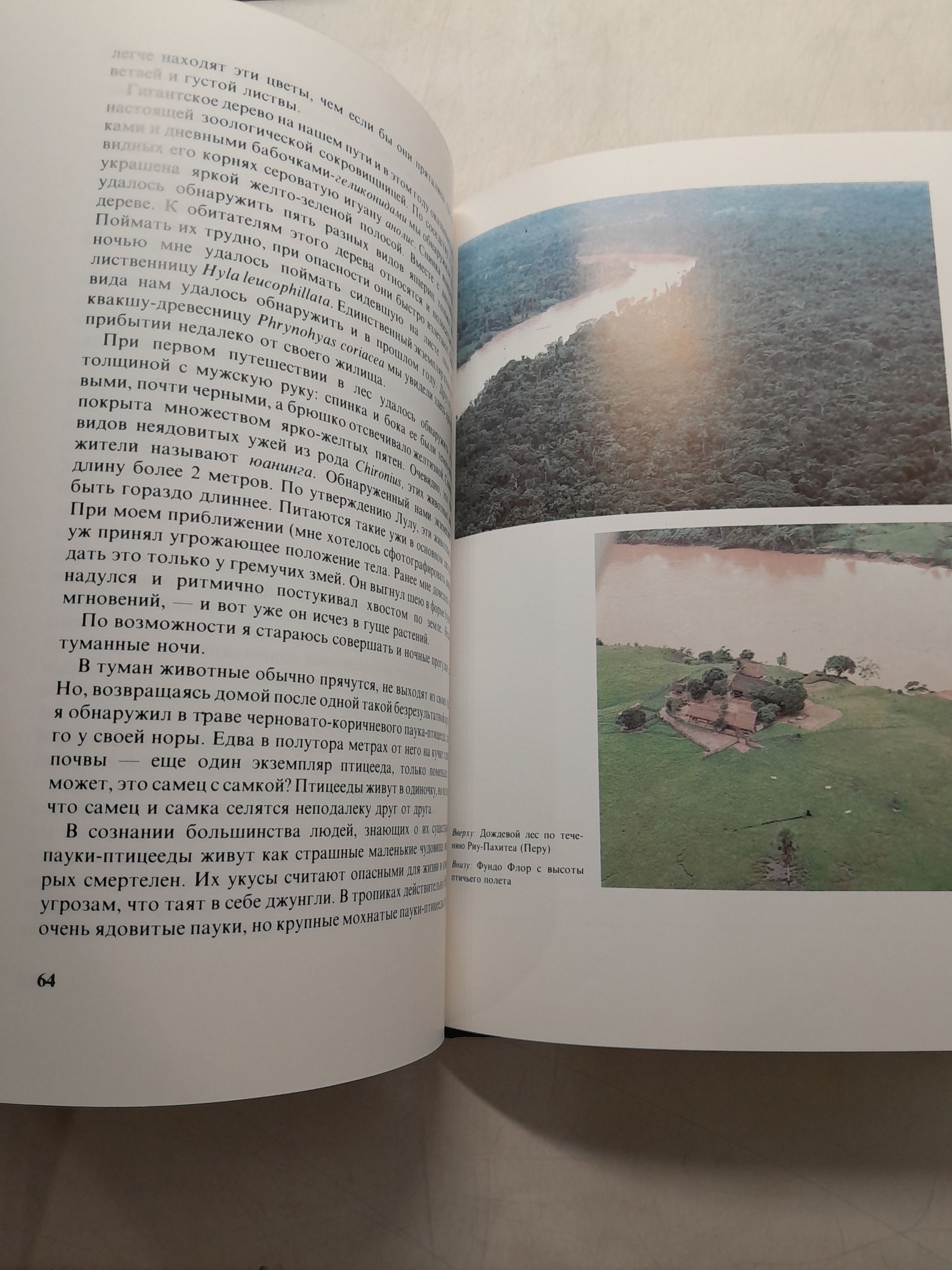 Регеш Янош / Зеленый ад - исчезающий рай. Репортаж из тропического дождевого леса — изображение 5