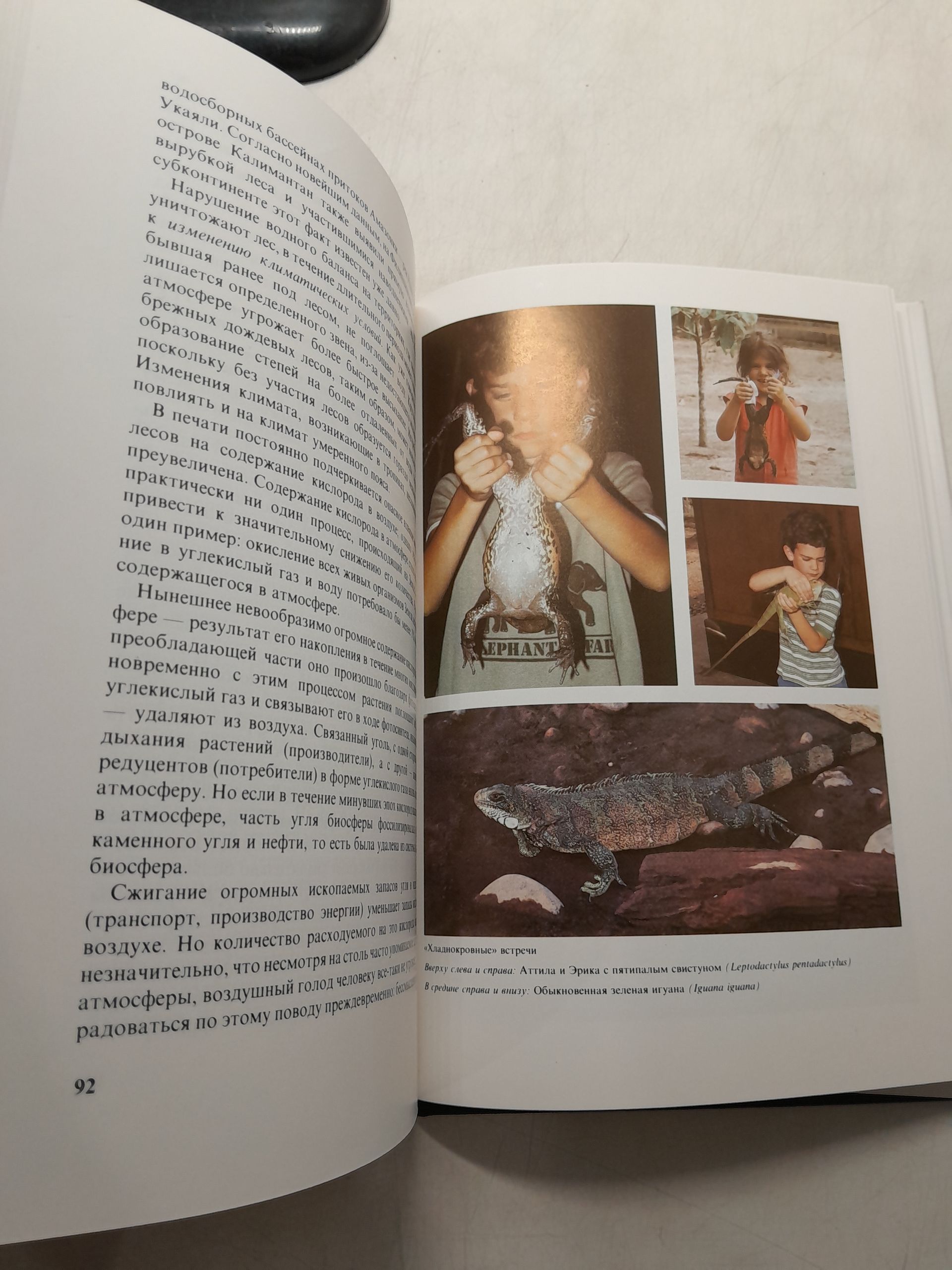 Регеш Янош / Зеленый ад - исчезающий рай. Репортаж из тропического дождевого леса — изображение 4