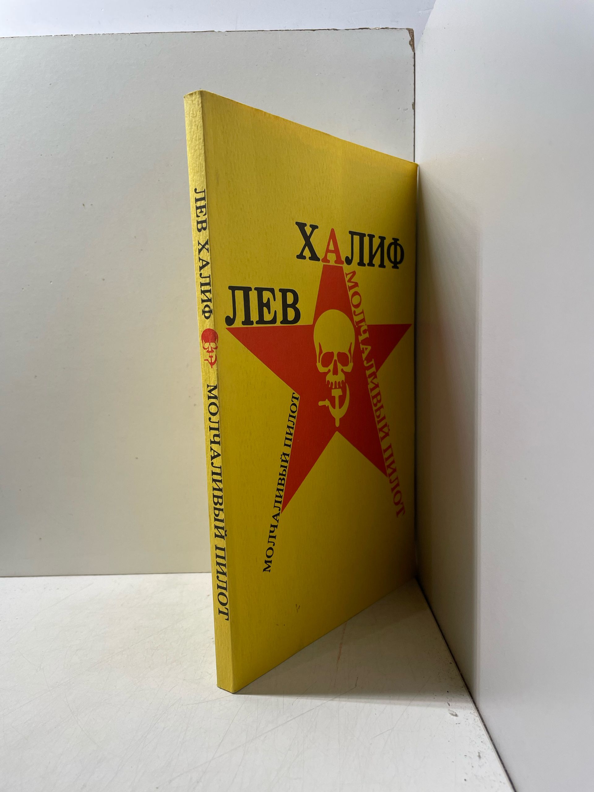 Молчаливый пилот Халиф Лев Яковлевич — изображение 2