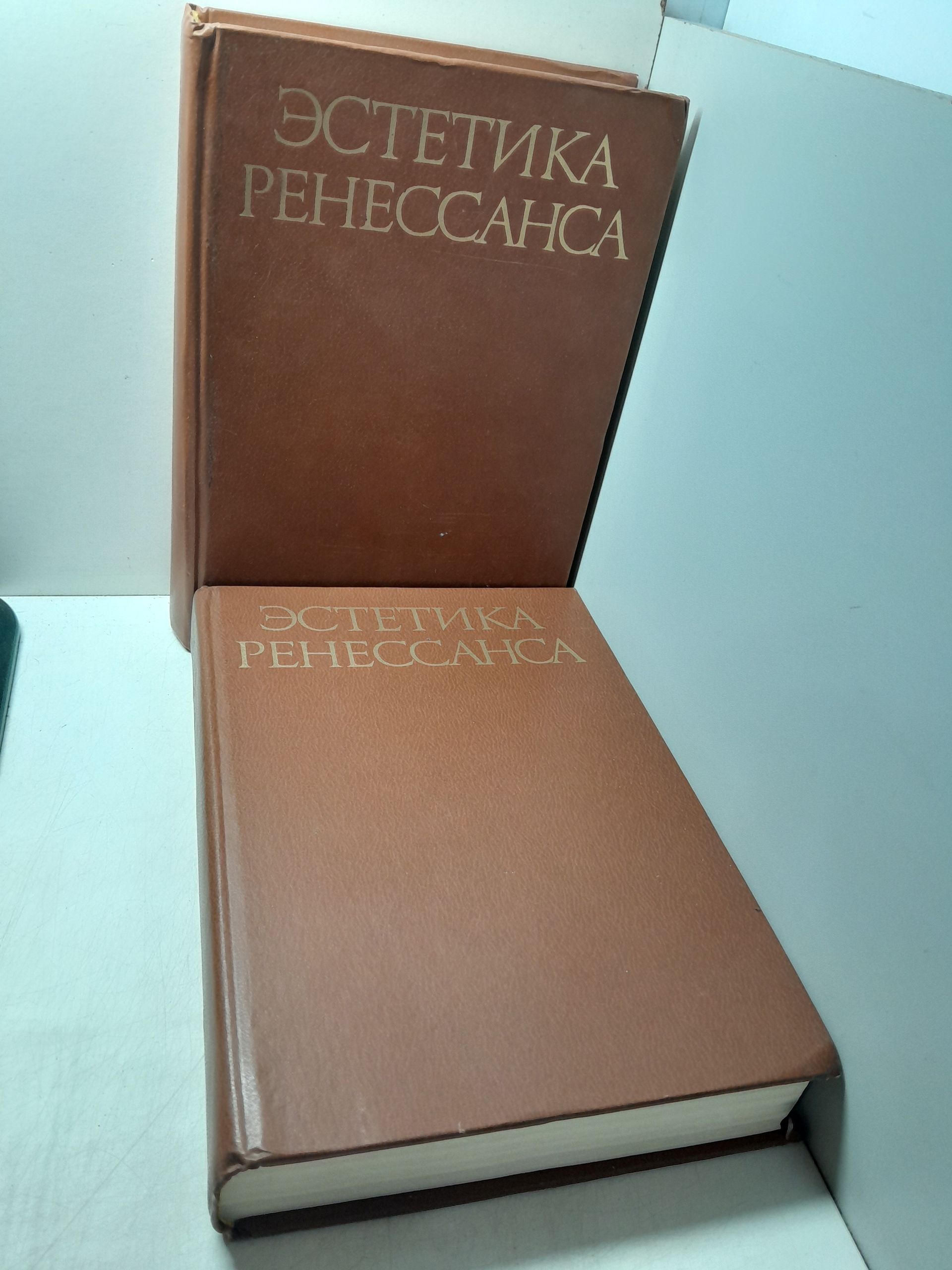 Эстетика Ренессанса. Комплект в 2 томах. Том I. Философия и эстетика. Том II. Литература и поэзия. Живопись, скульптура и архитектура. Антология