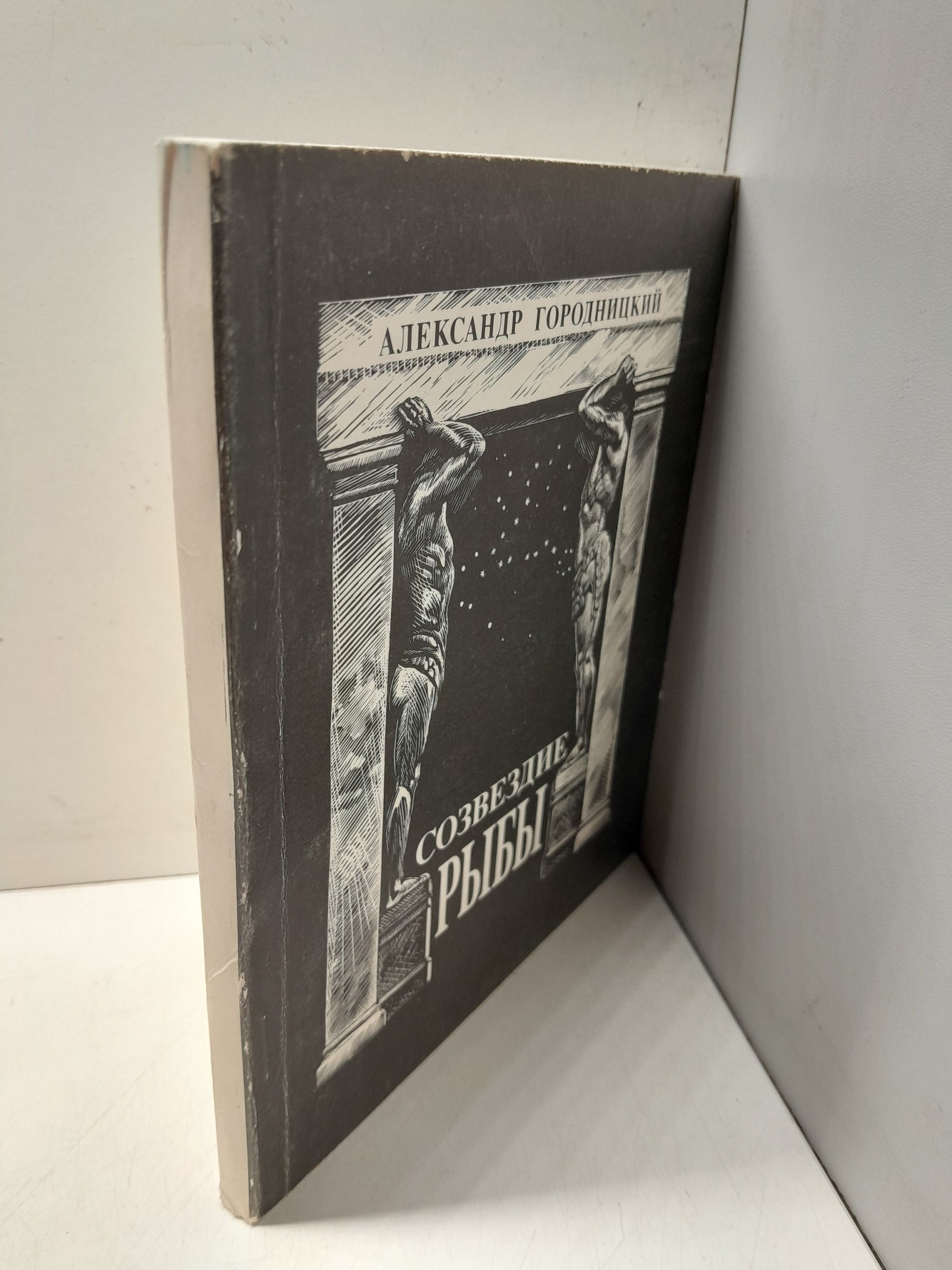 Созвездие Рыбы. Новые стихи / Городницкий Александр ( Книга с автографом ) — изображение 2